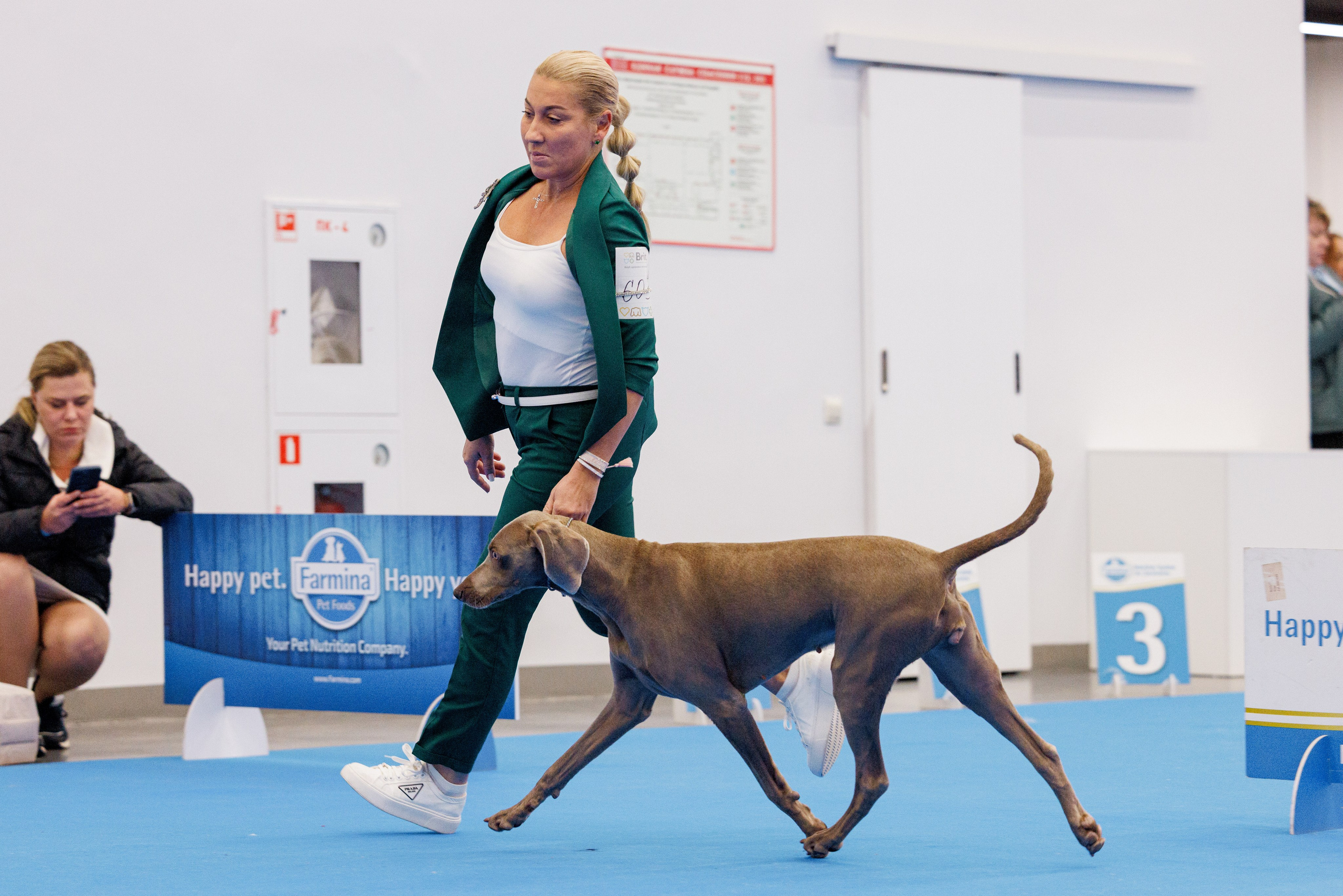 Нижний Новгород 21-22.10.2023. Фотограф-анималист Юлия Германика