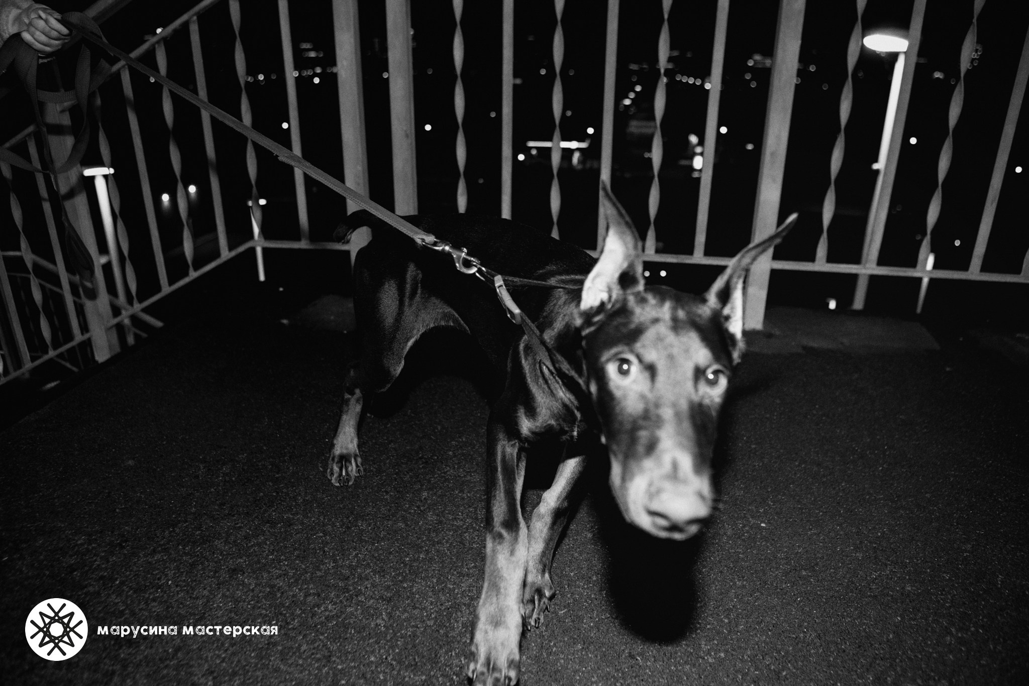 Екатерина Смоляр