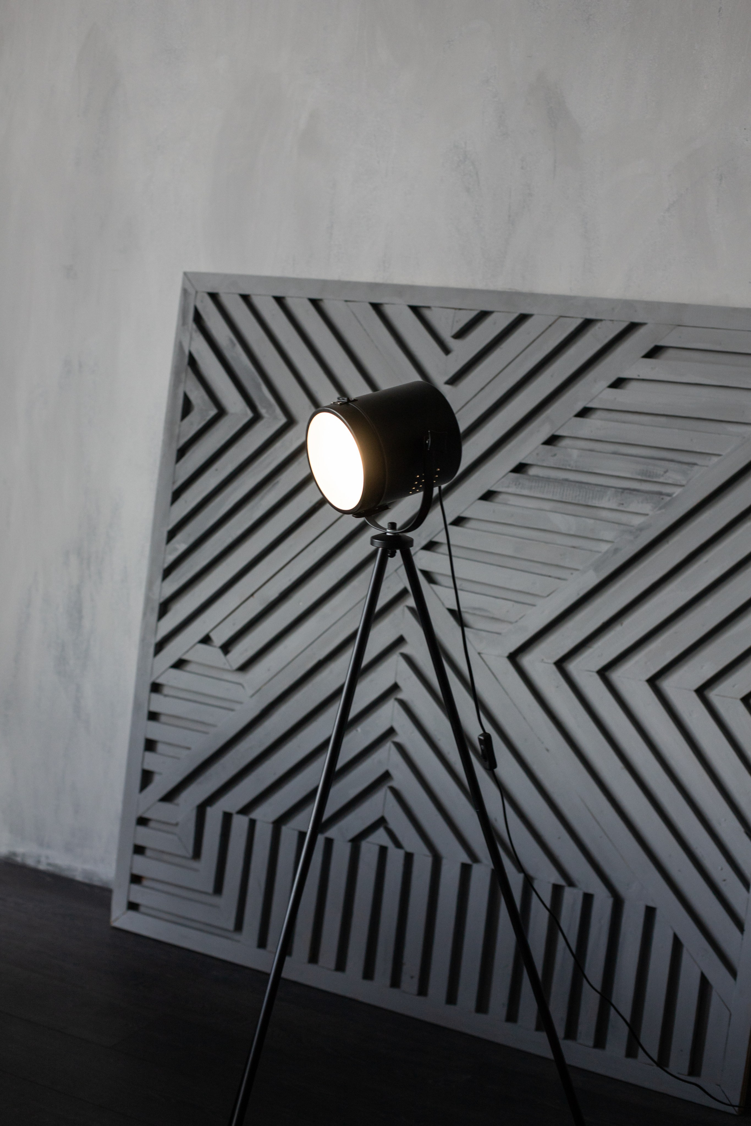 Честер (студия Зеркало). Фотограф г. Хабаровск. Семейные и индивидуальные съёмки