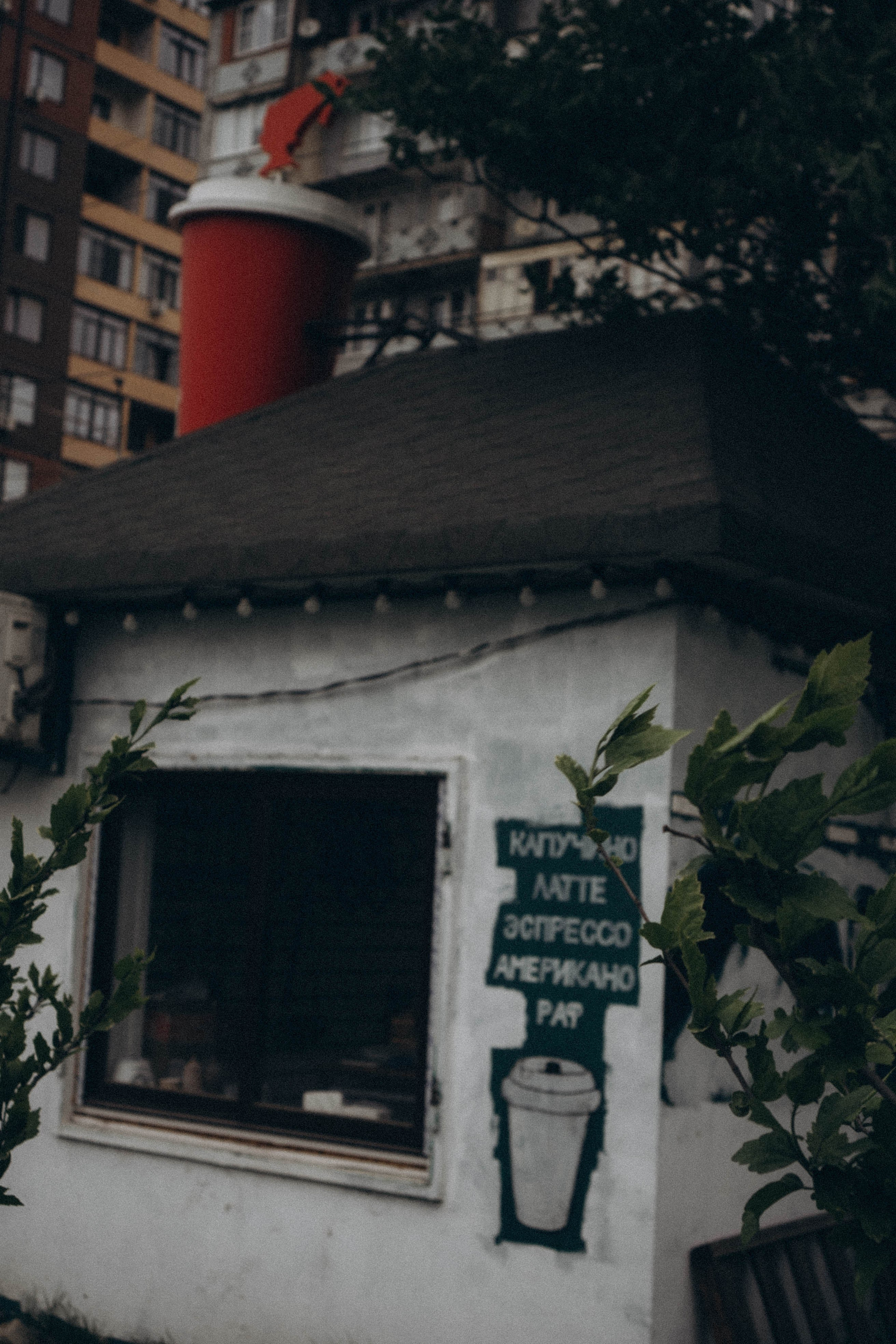 Кавказ. Профессиональный фотограф, Санкт-Петербург — Виктория Богомолова