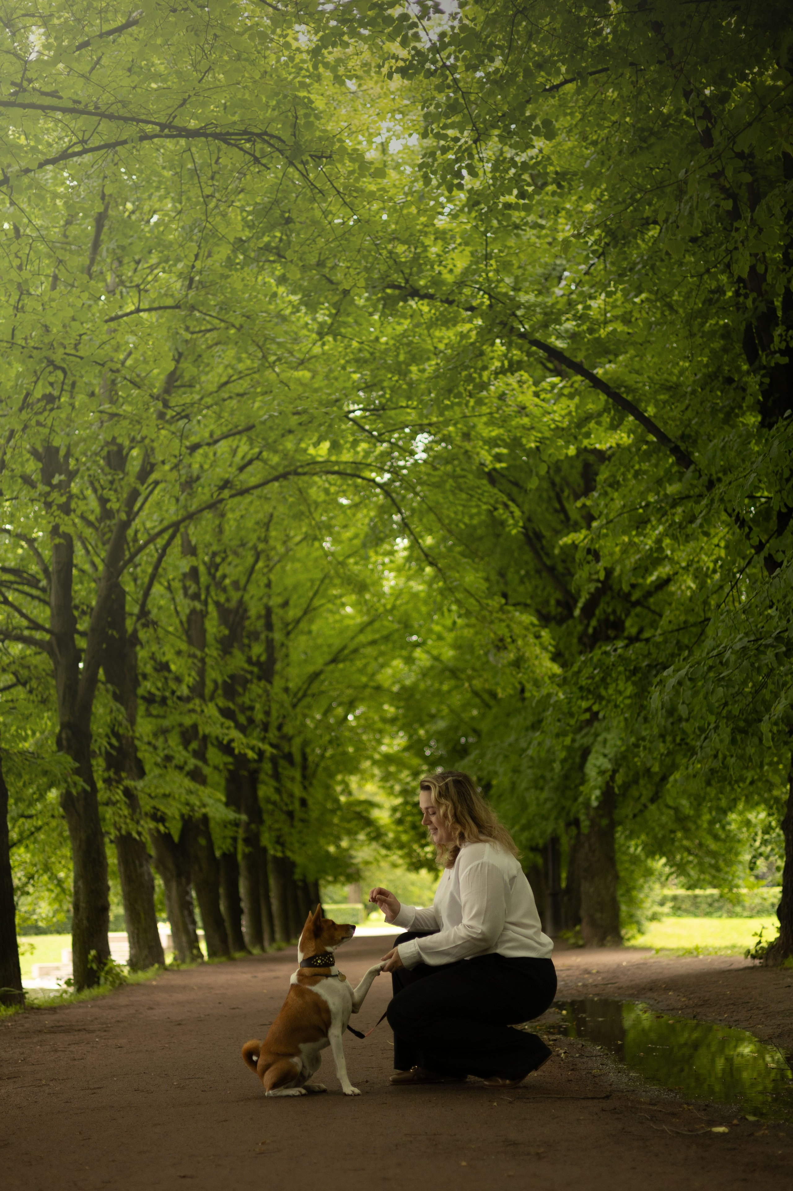 Ольга, Тимофей и Аурис. Фотограф животных Евгения Верцинская