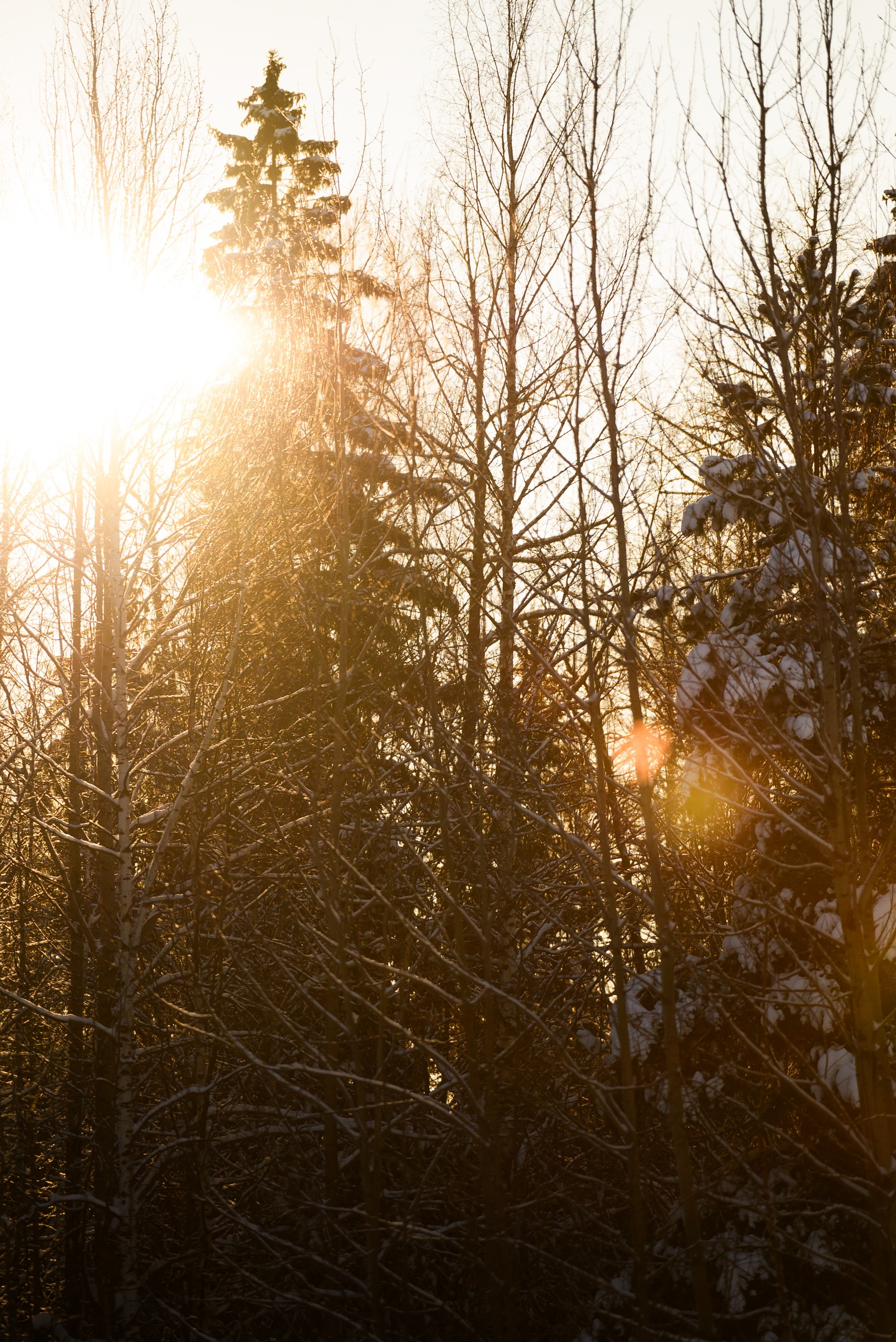 Лыжные гонки. Свадебный фотограф Ижевск Петр Шишков