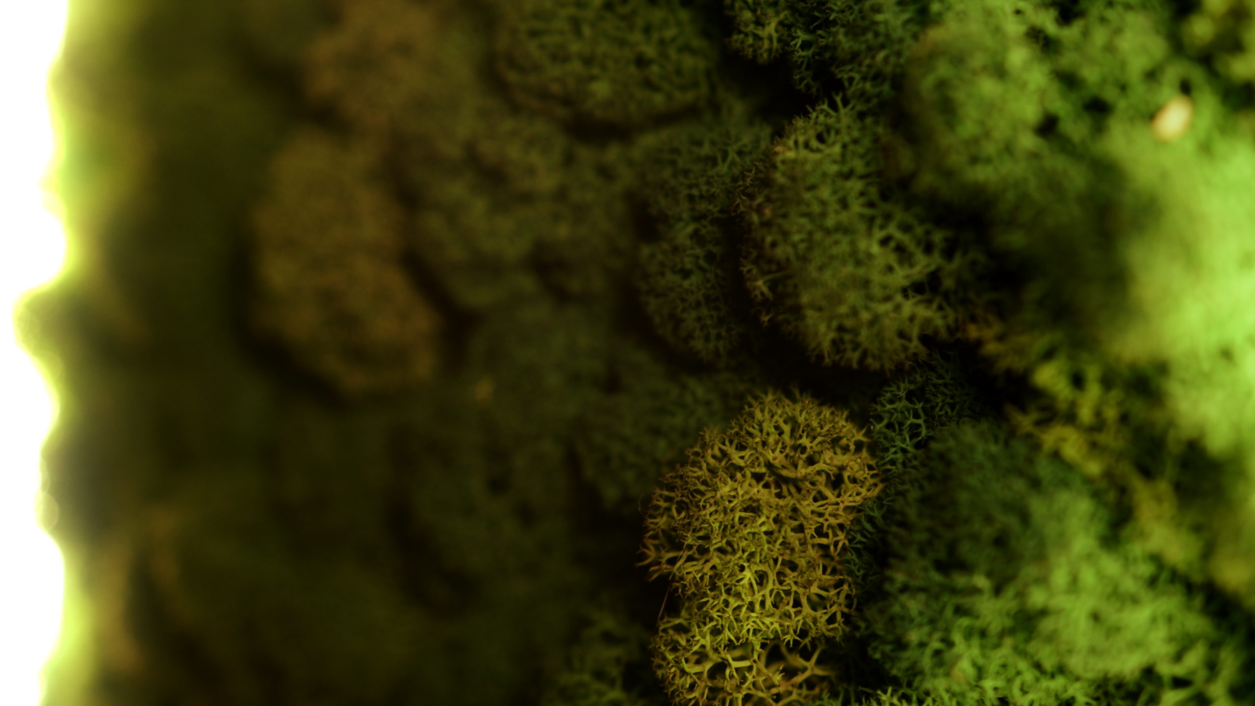 Реклама. «Lounge Bar». Мальцев Кирилл — оператор, монтажёр в Санкт-Петербурге