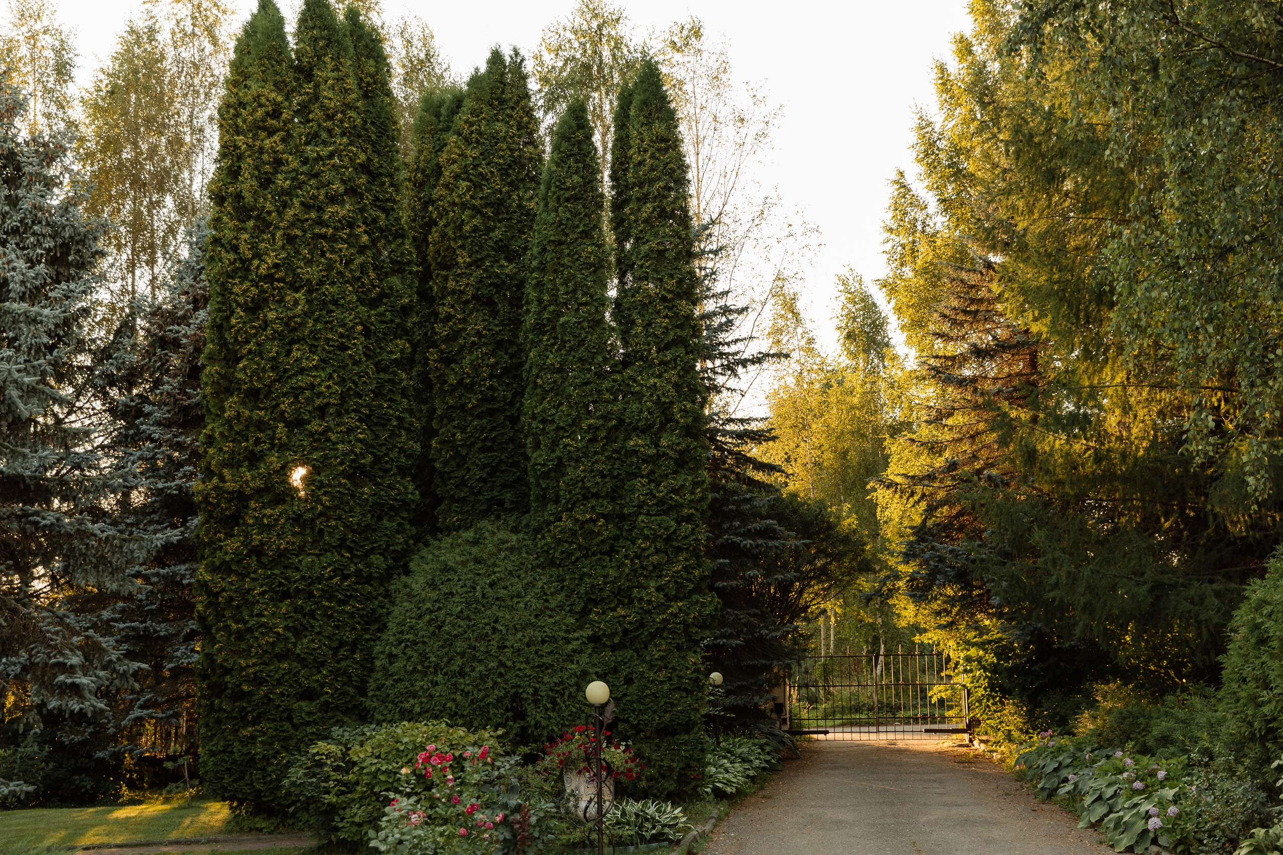 Усадьба. Свадебный фотограф Дмитрий Воробьев Ярославль