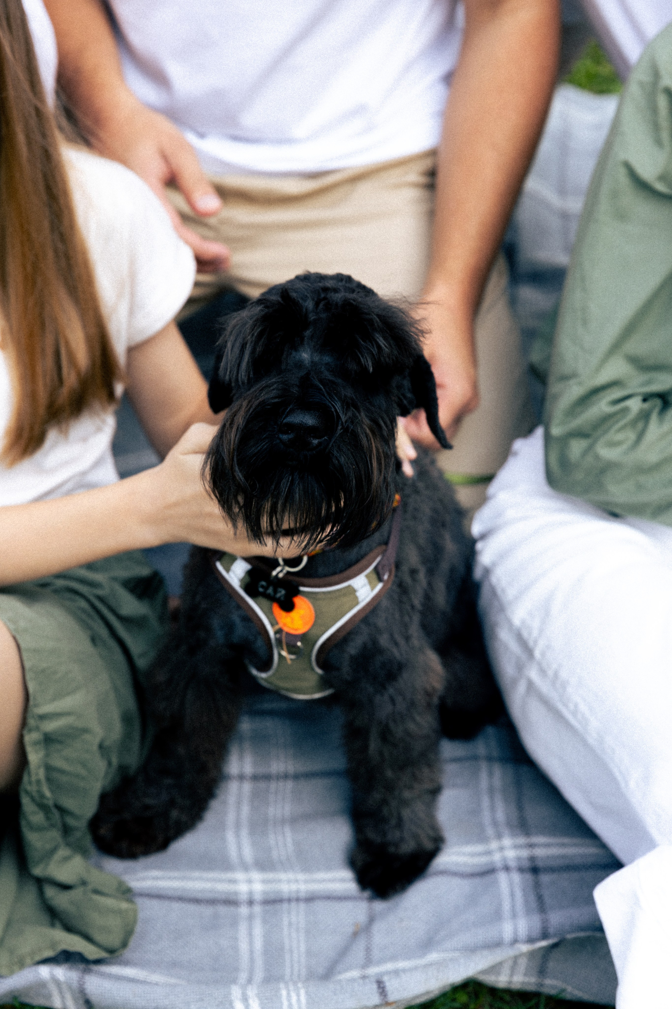 Семья Горьковское море. Фотограф Нижний Новгород Юлия Болдырева