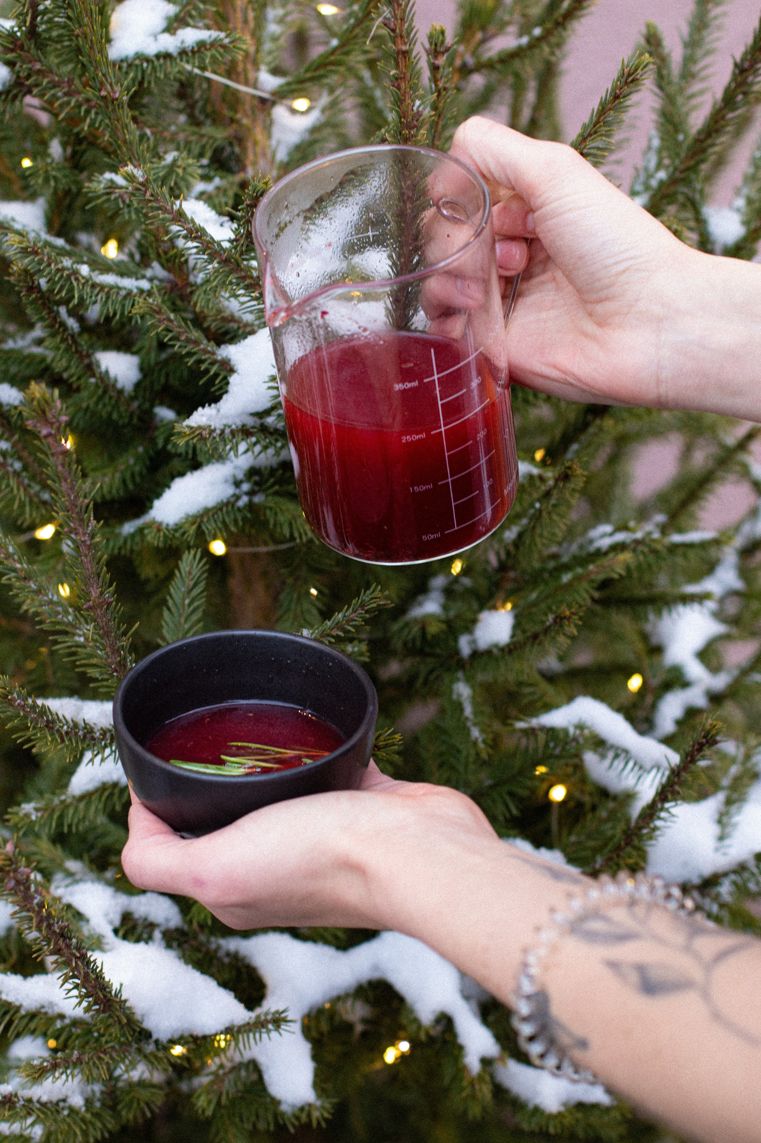 Coffee shop Penka. Janie valde |photographer & visual artist