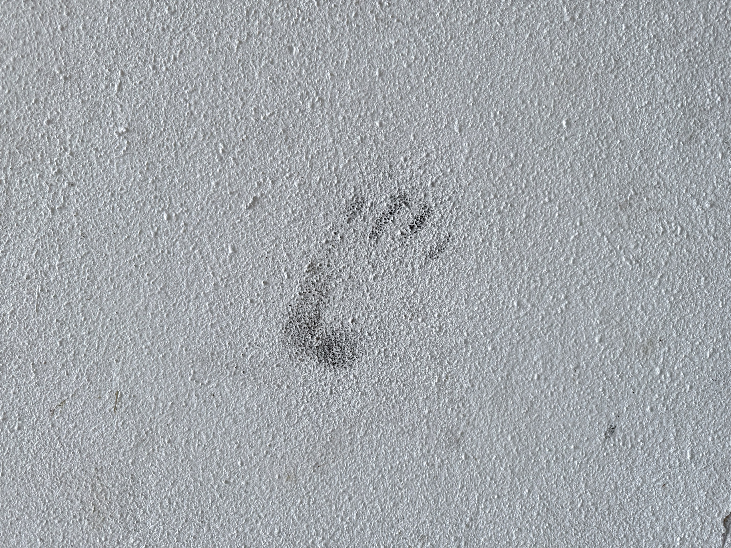 The practicality of non-acceptance. 2025. Janie valde |photographer & visual artist