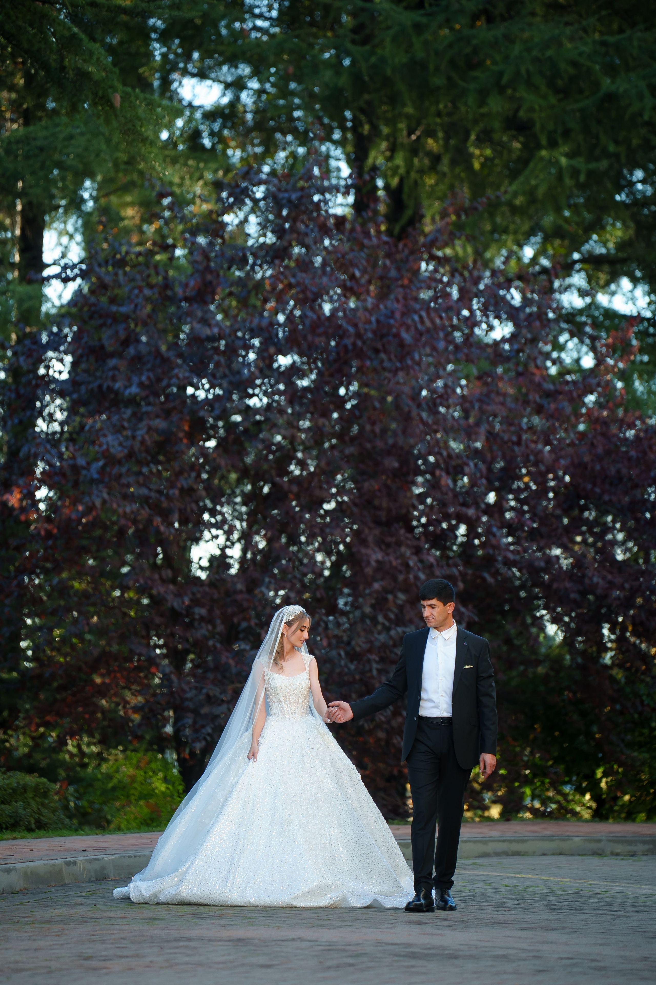 ФОТОГРАФ и ВИДЕОГРАФ