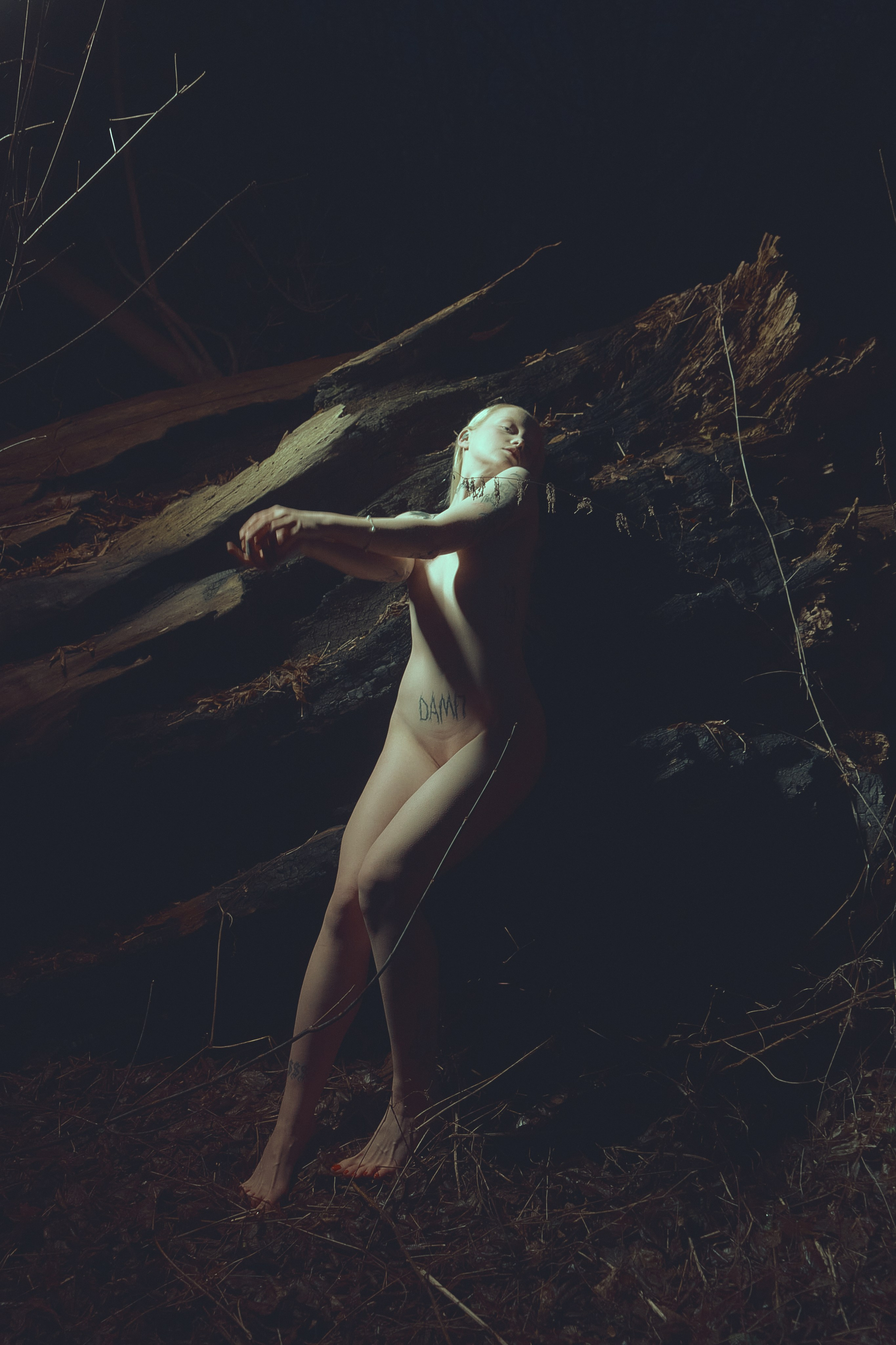 фотосессия самара, фотограф в самаре, фотосессия на природе, фотосессия ню, фотограф, заказать фотосъёмку, индивидуальная фотосессия самара, фотографии для интерьера, фотопостер