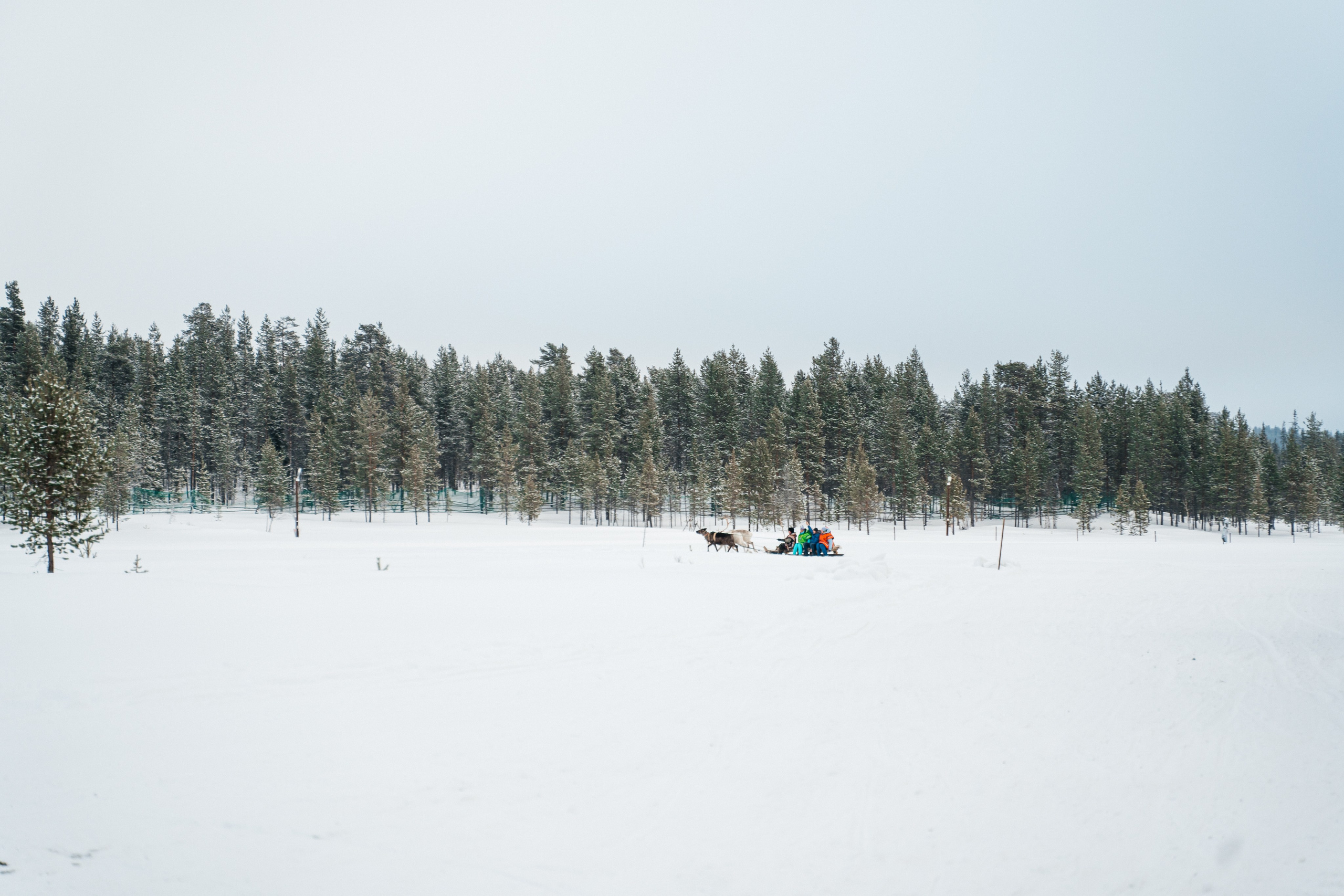 Териберка. Семейный фотограф в Санкт-Петербурге