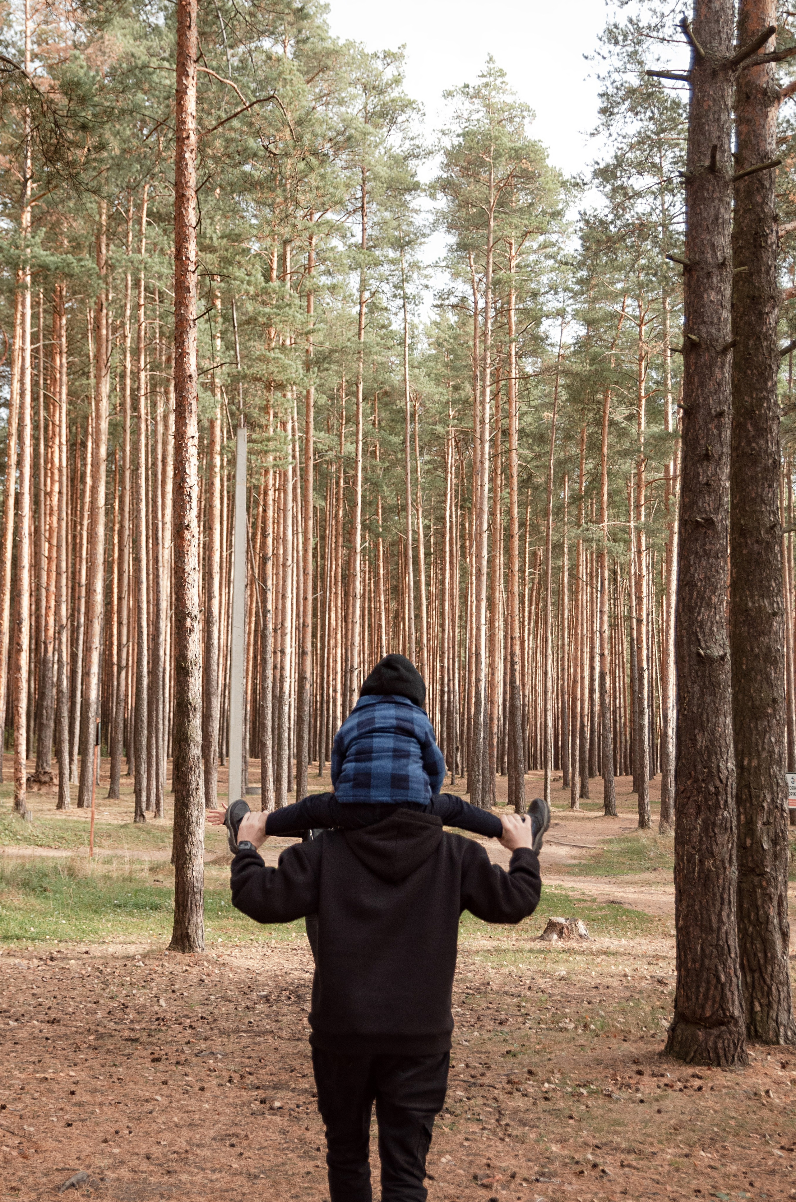ТОМА+ШАМИЛЬ+Миша. Фотограф в Ярославле Грибанова Ирина