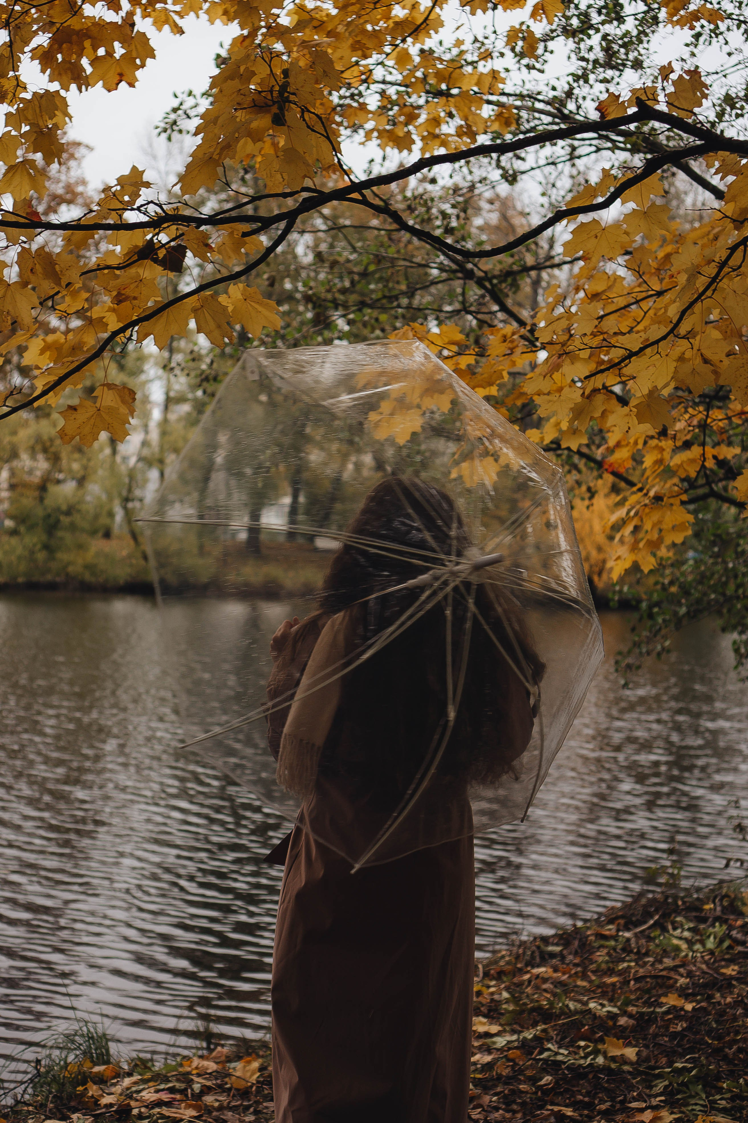 Осень. Профессиональный фотограф, Санкт-Петербург — Виктория Богомолова