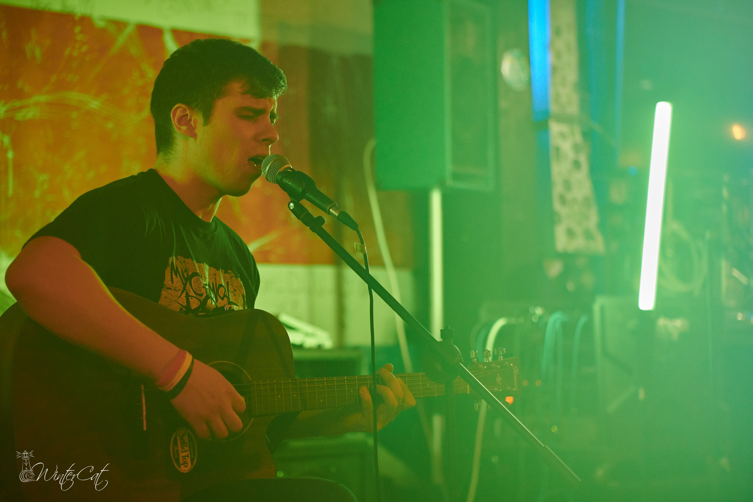 День Рождения Честер Четыре Года. Портретный и репортажный фотограф в Магадане Андрей Нефедов WinterCatPhoto