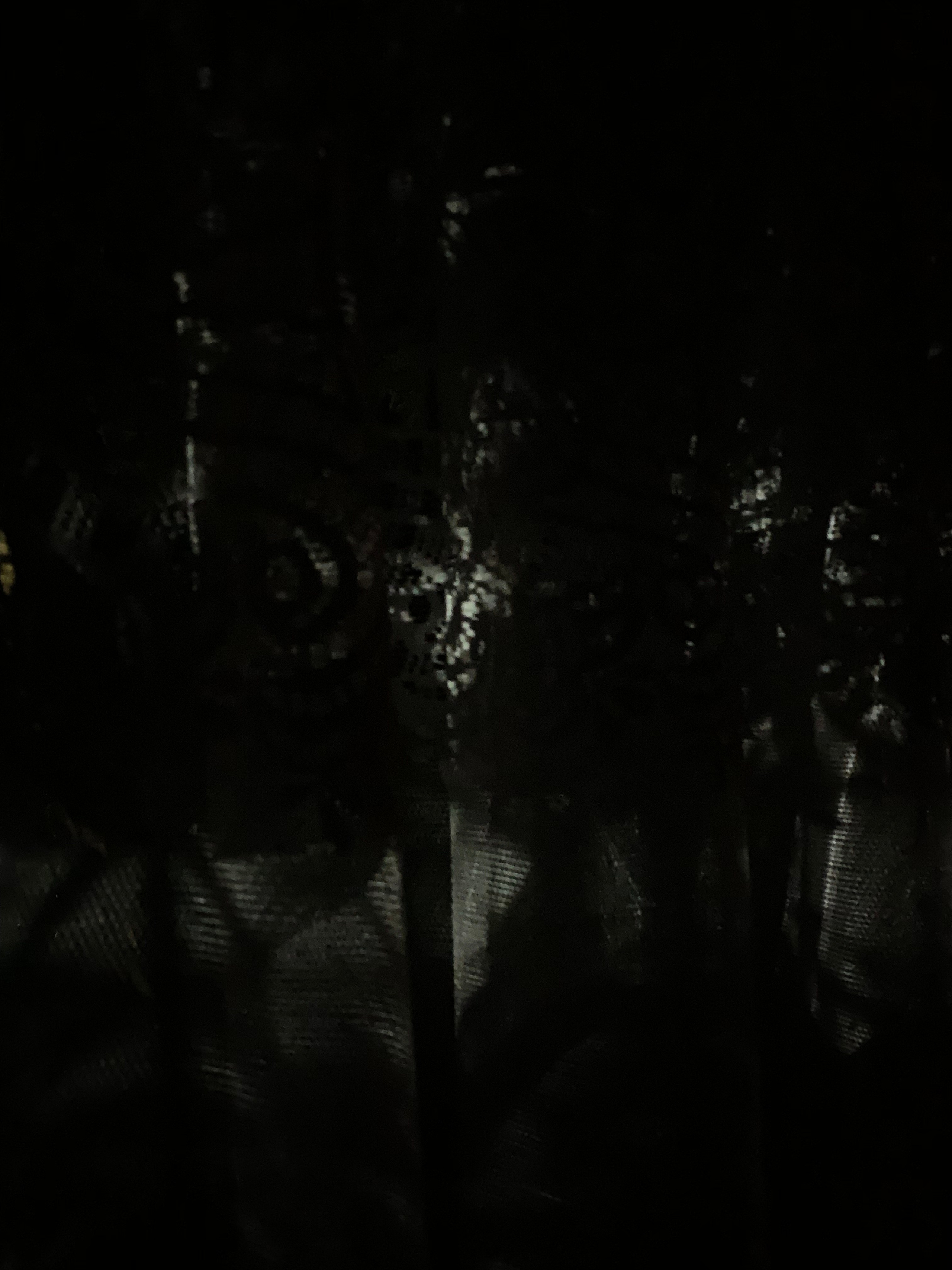 2019 год. Тащилин Сергей. Фотографии. Жизнь. Хобби