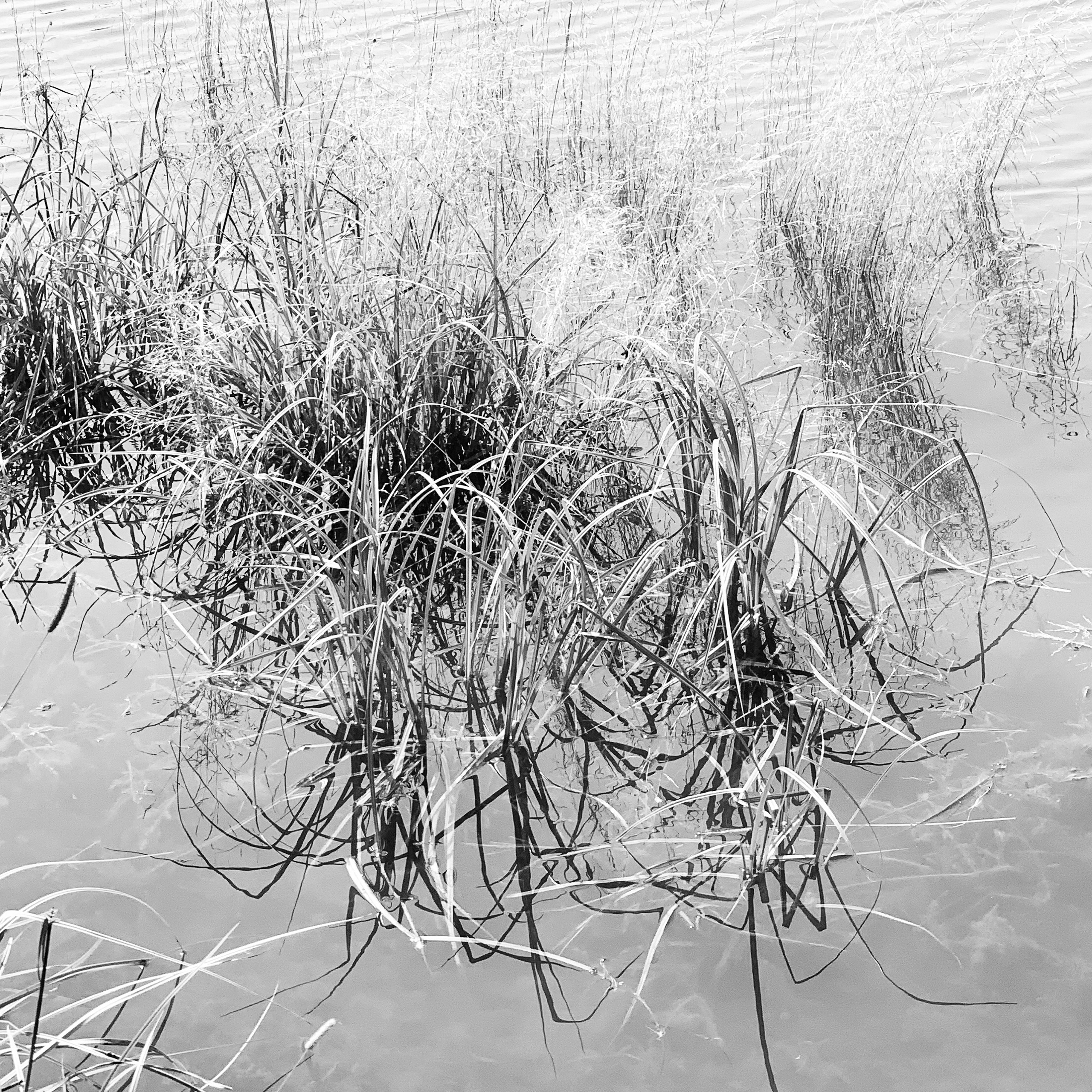 2020. Тащилин Сергей. Фотографии. Жизнь. Хобби