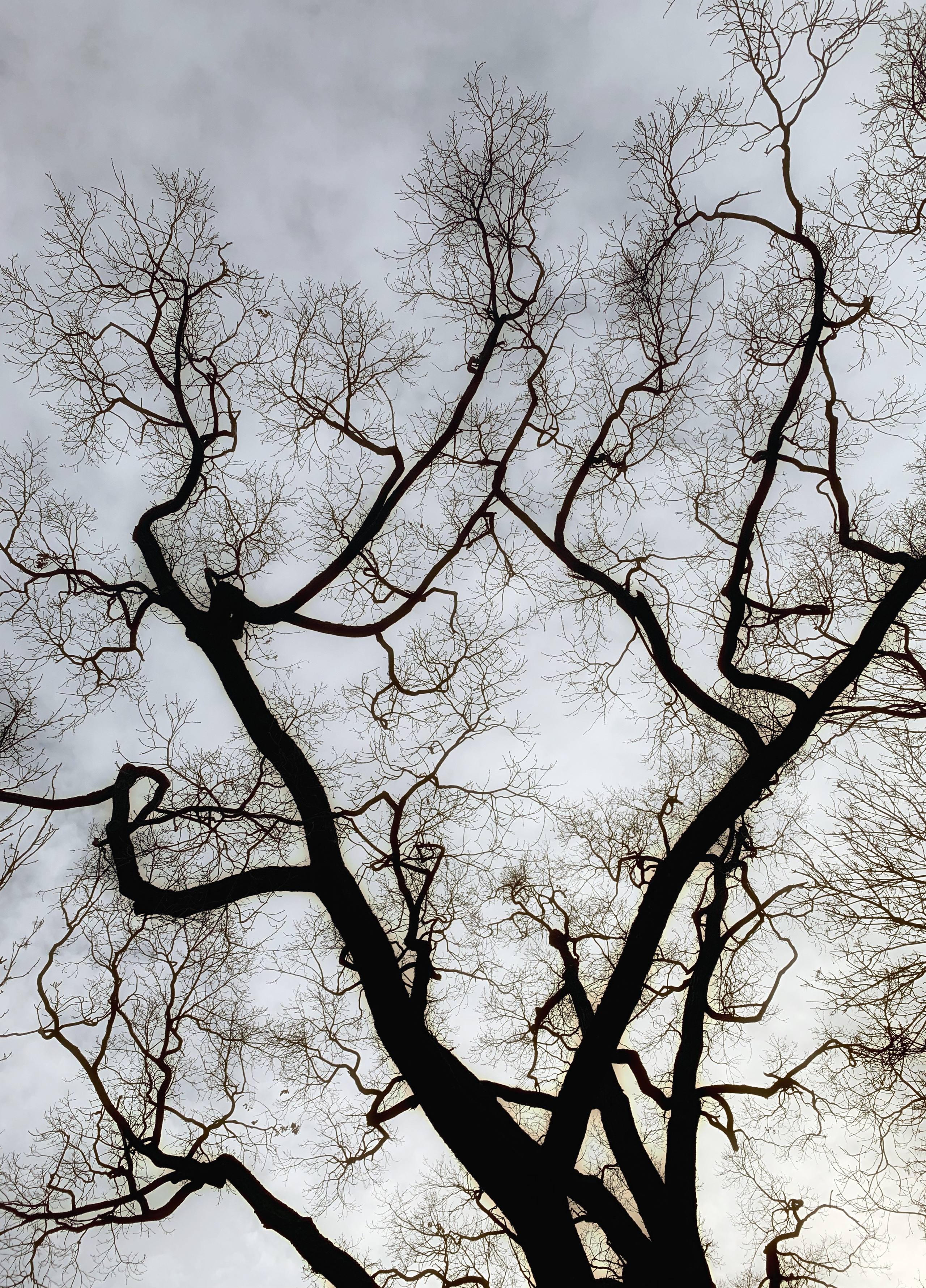 2019 год. Тащилин Сергей. Фотографии. Жизнь. Хобби