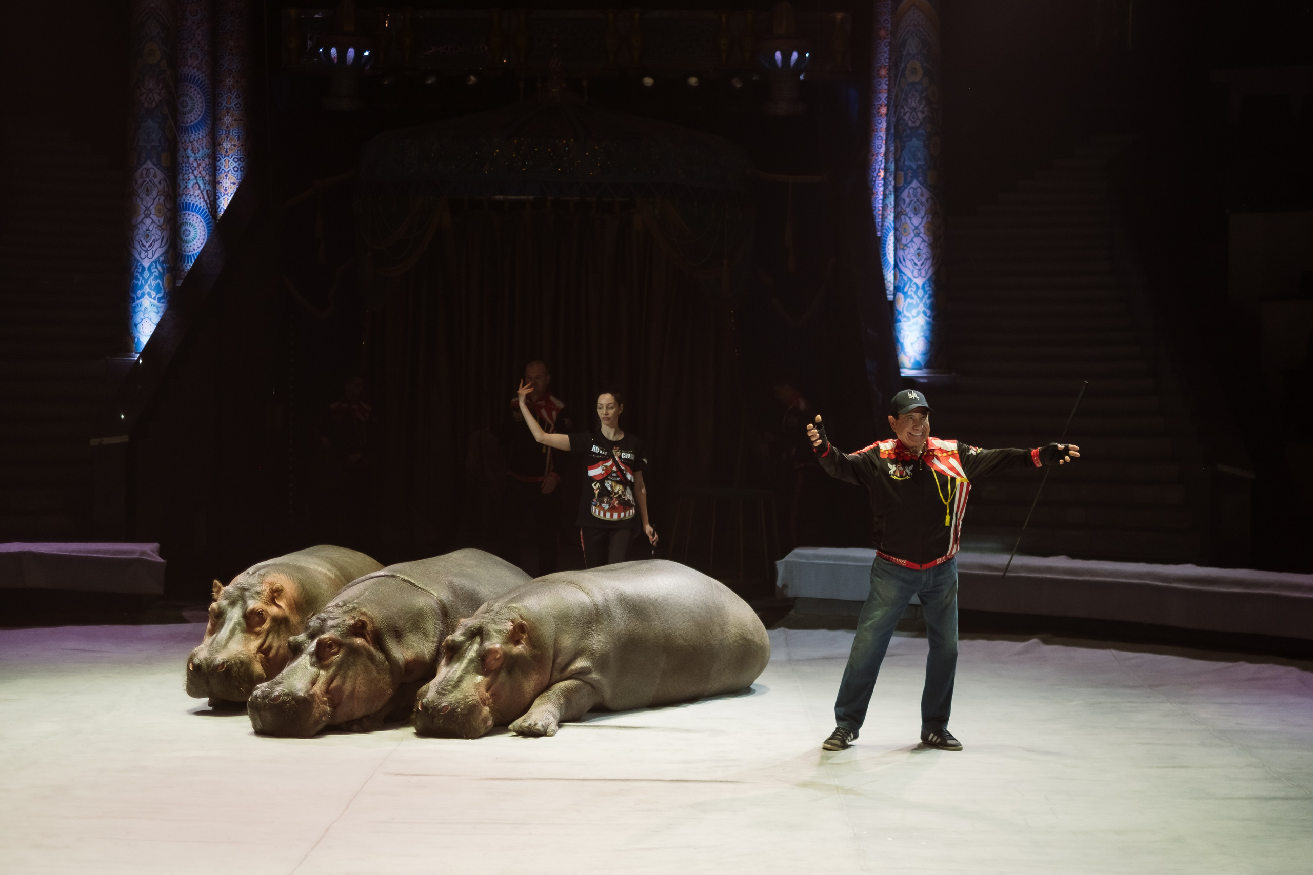 Репортаж. Фотограф Новосибирск Анна Рождественская