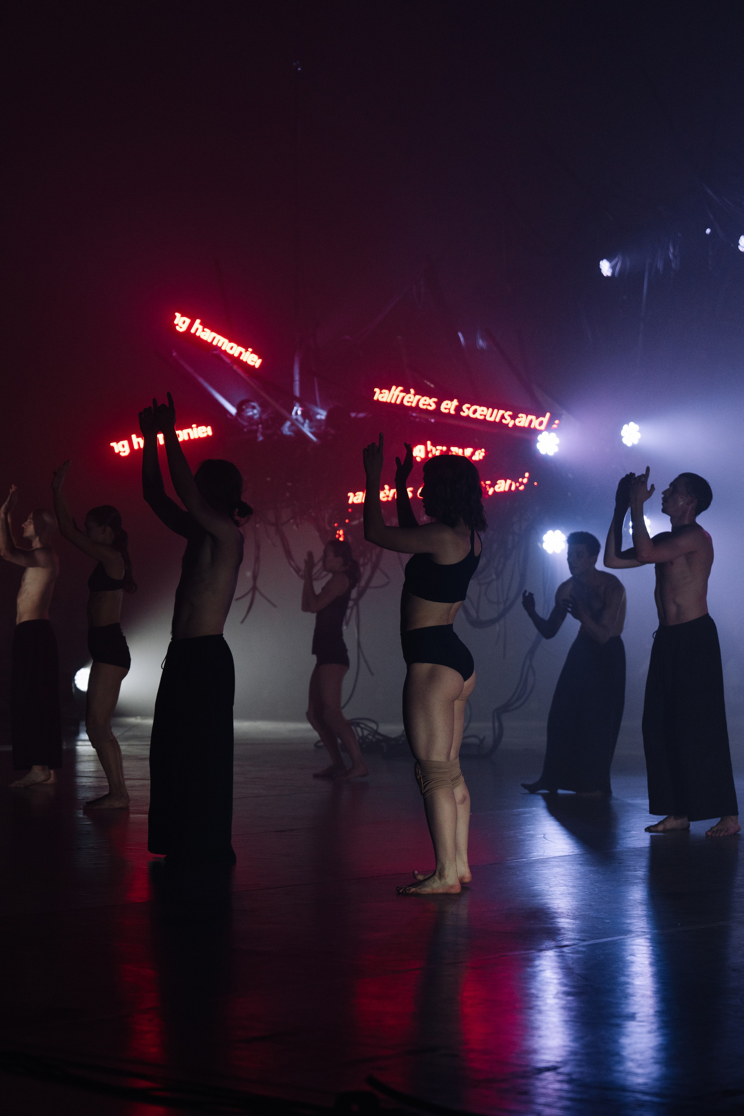 PERFORMA, The Hour of the Horse. @tomrus: Рустам Шагиморданов — фотограф