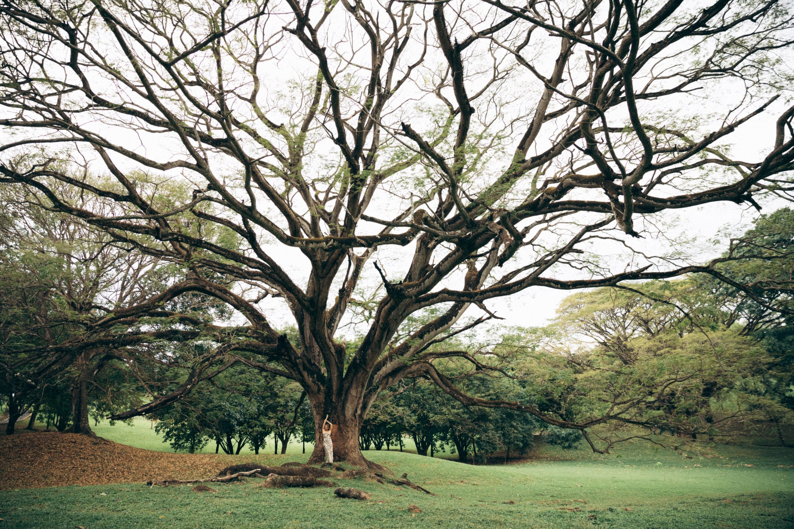 Даша. Портретный фотограф / Панама / Анастасия Елизарова