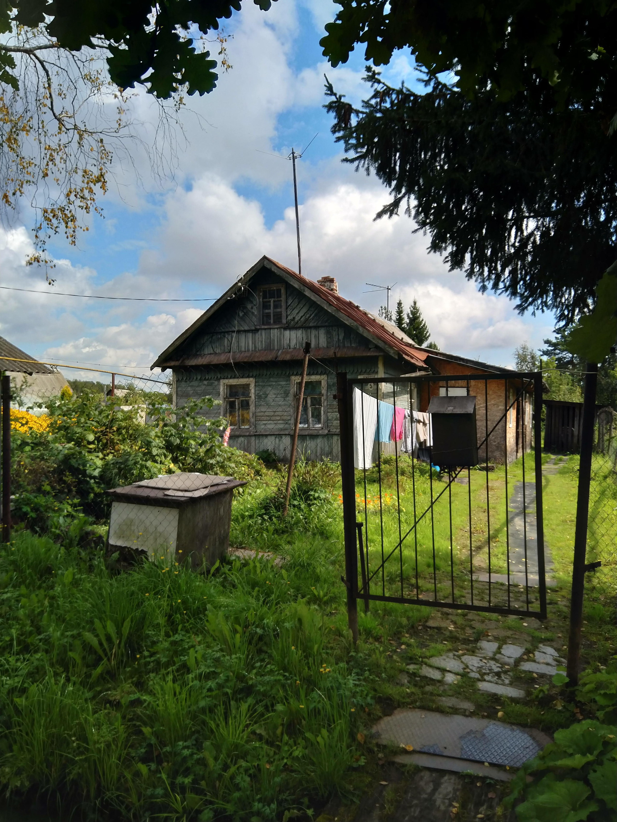 Мга. Надежда Козлова, фотограф, Санкт — Петербург