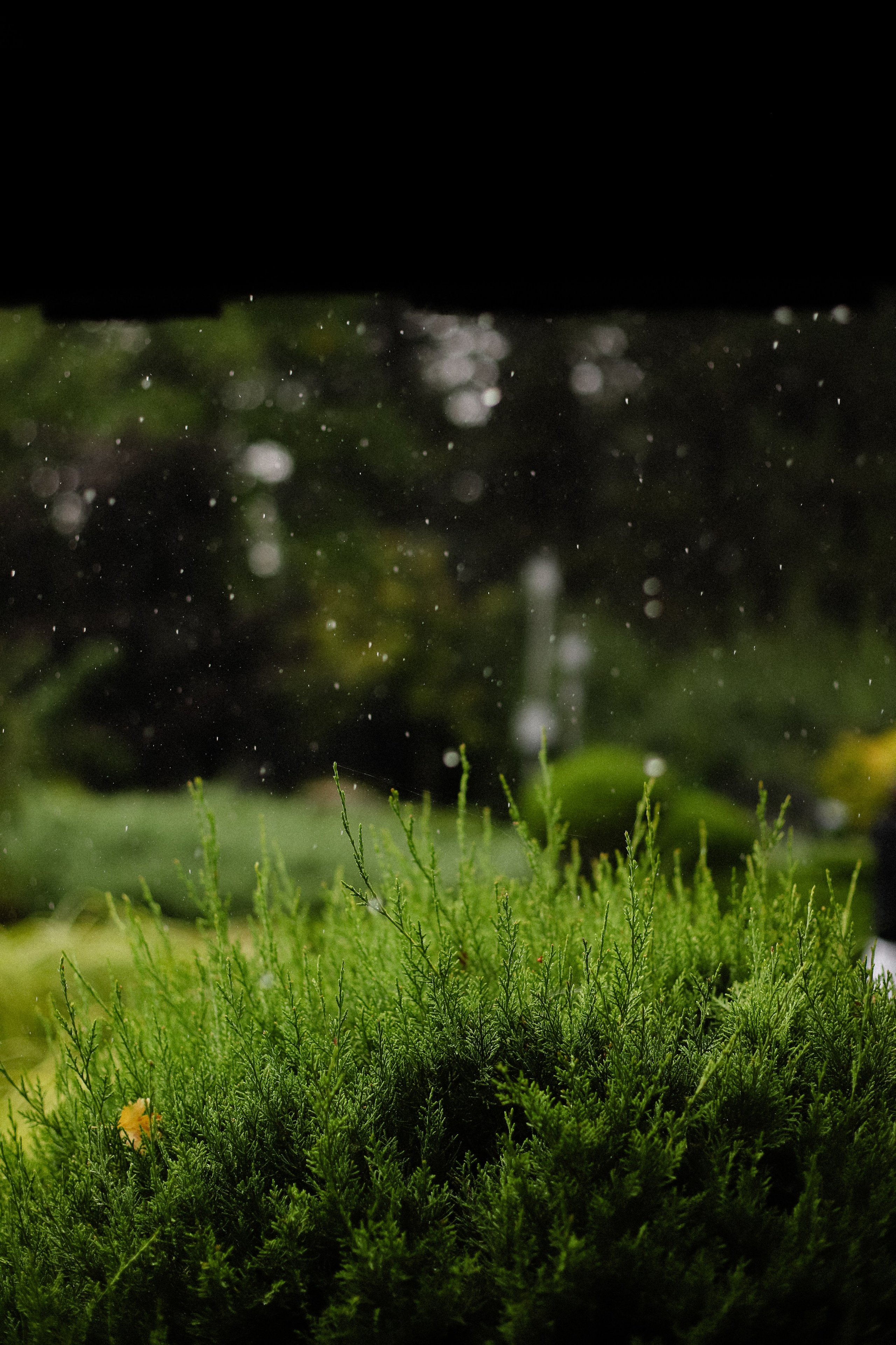 Игорь и Арина. Фотограф в Алматы и Москве Даша Пушкина