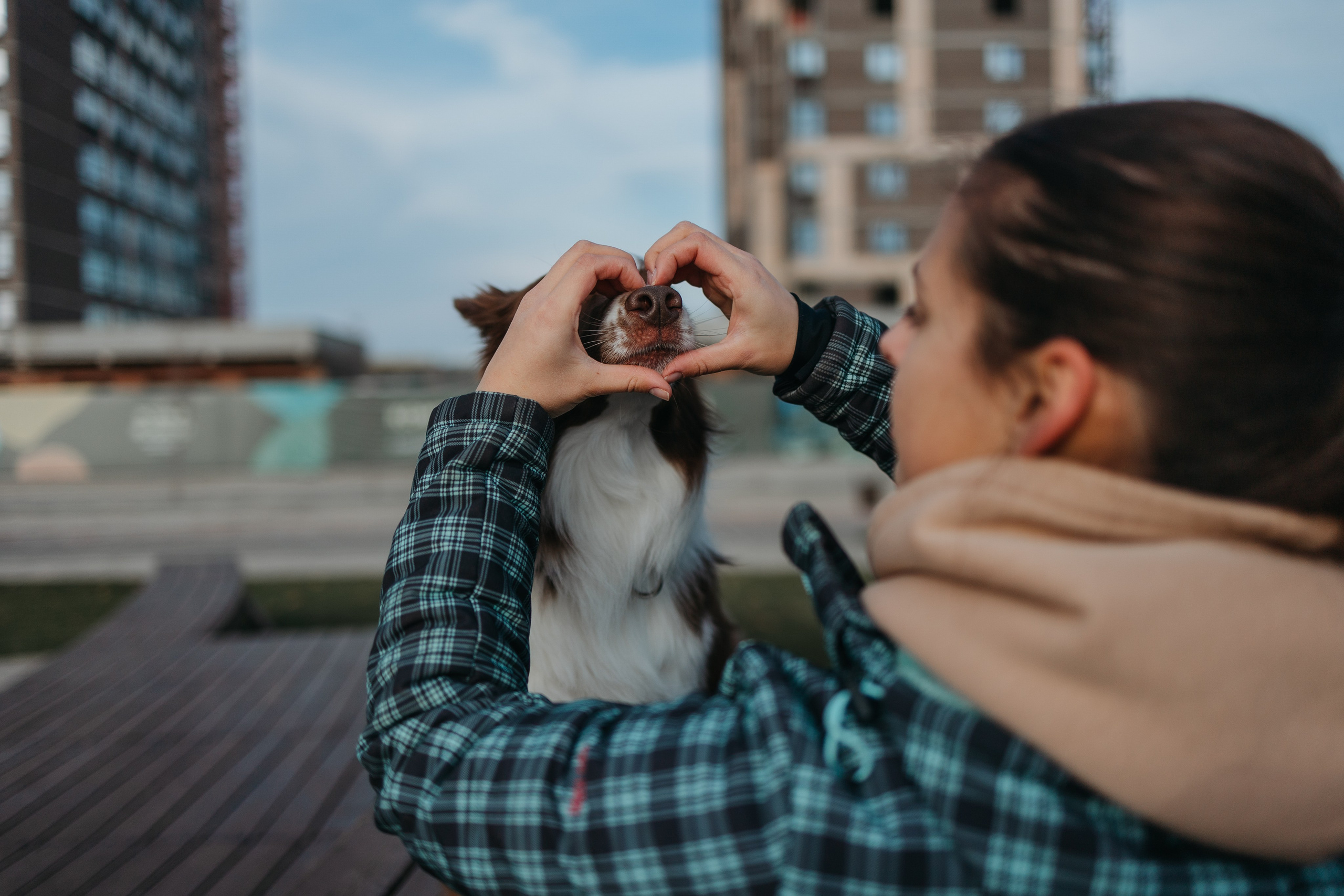 Маша и Тори. Фотограф — анималист Светлана Кысса|фотограф собак в Краснодаре и Нижнем Новгороде