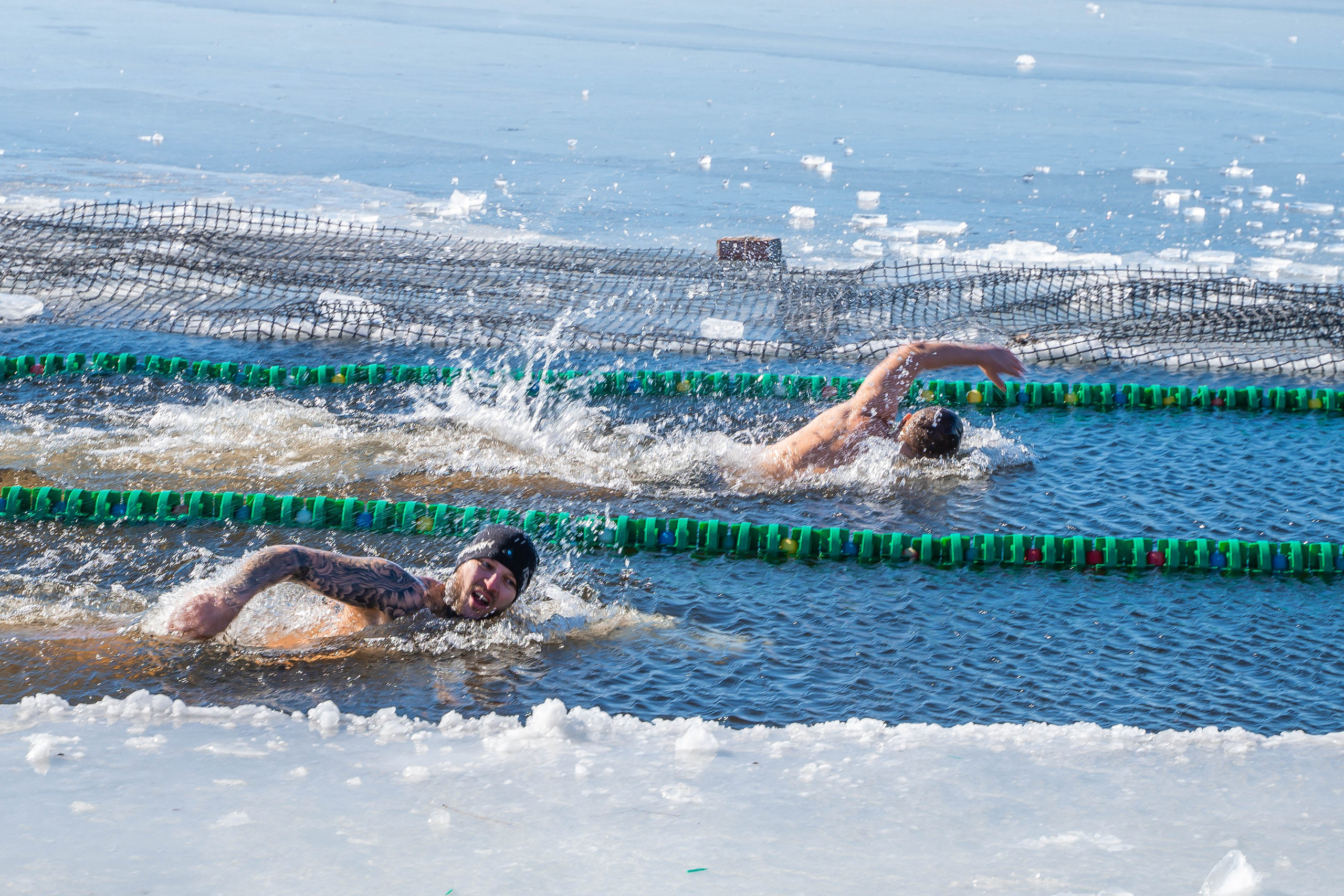 Моржеран. Shmeleva.ph Фотограф Волгоград и Волжский — Анна Шмелева