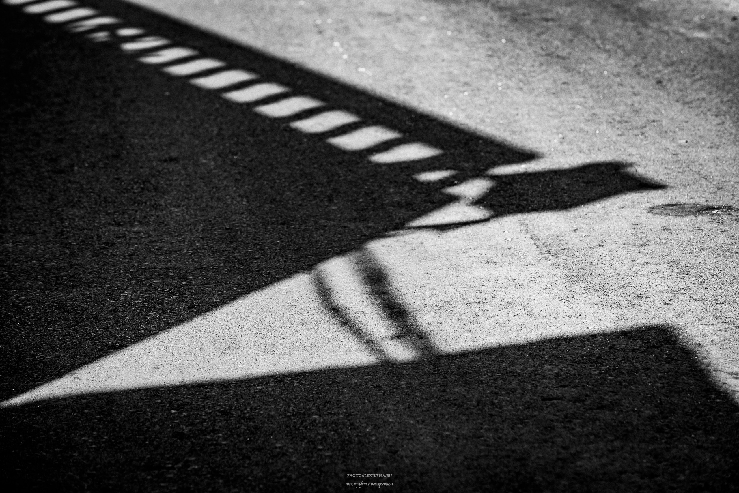 Мир теней. Авторские стильные фотокартины