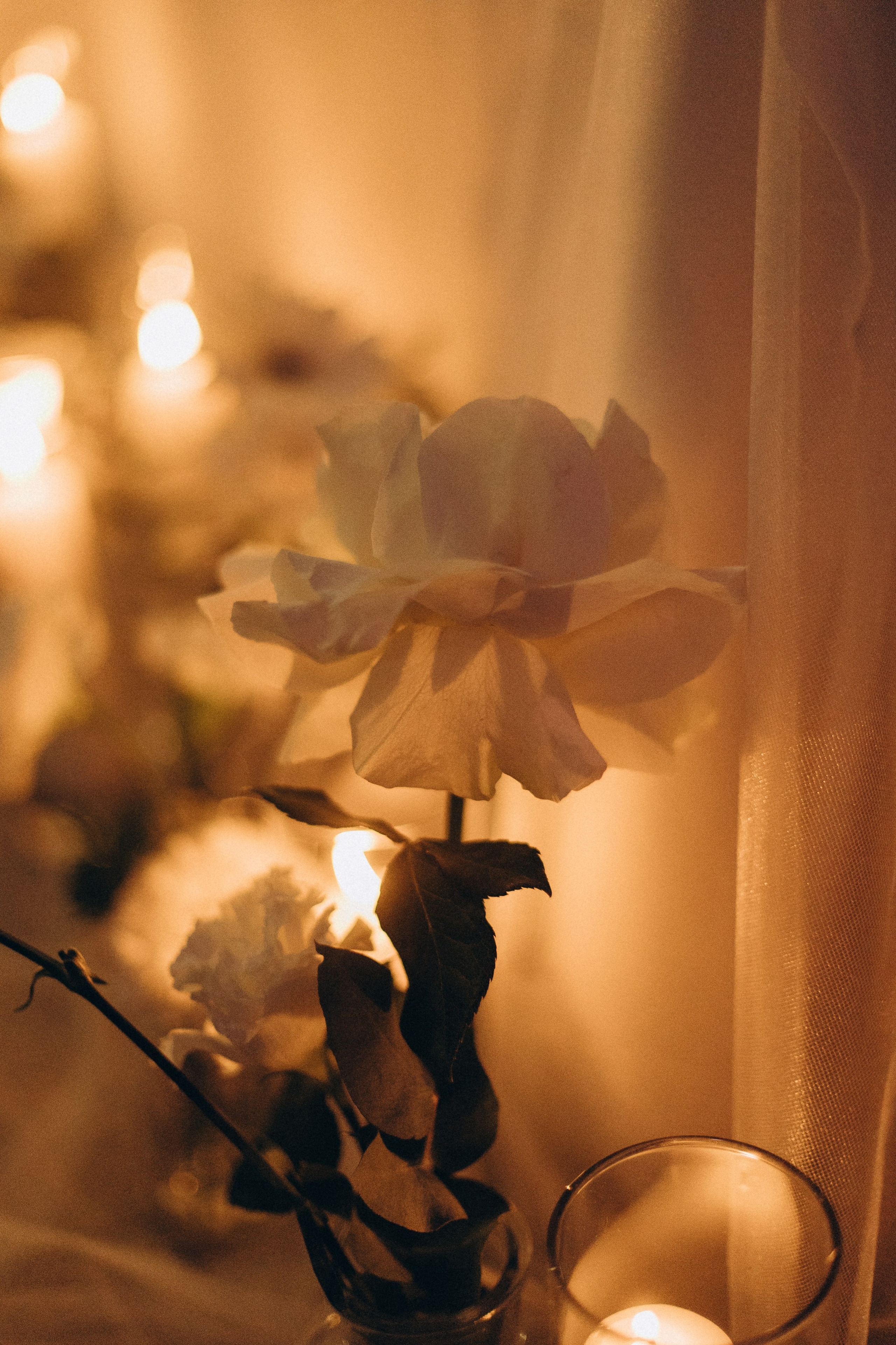 Николай и Валерия. Главная