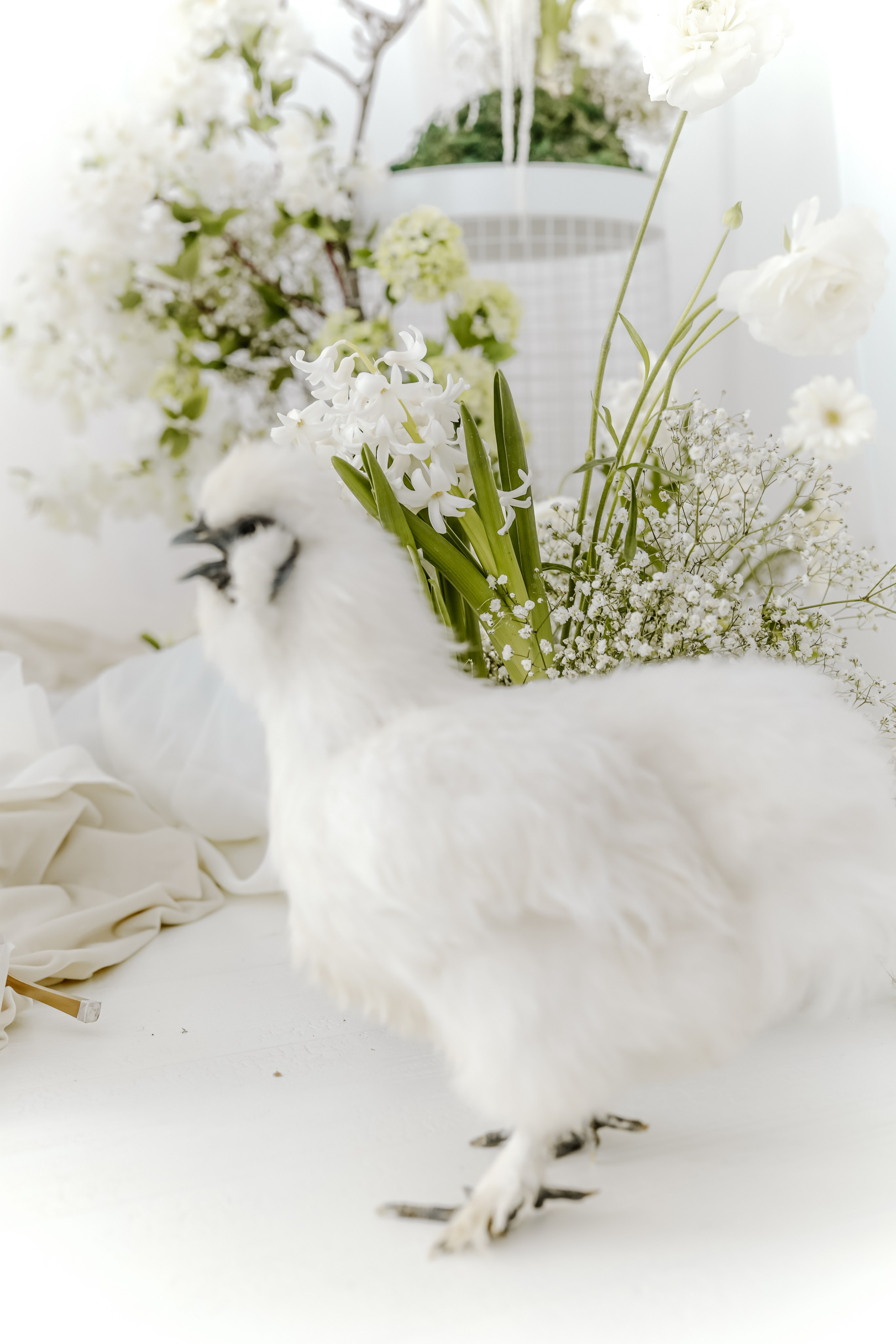 Виктория и Максим.Краснодар. Фотограф Славянск на кубани Краснодар