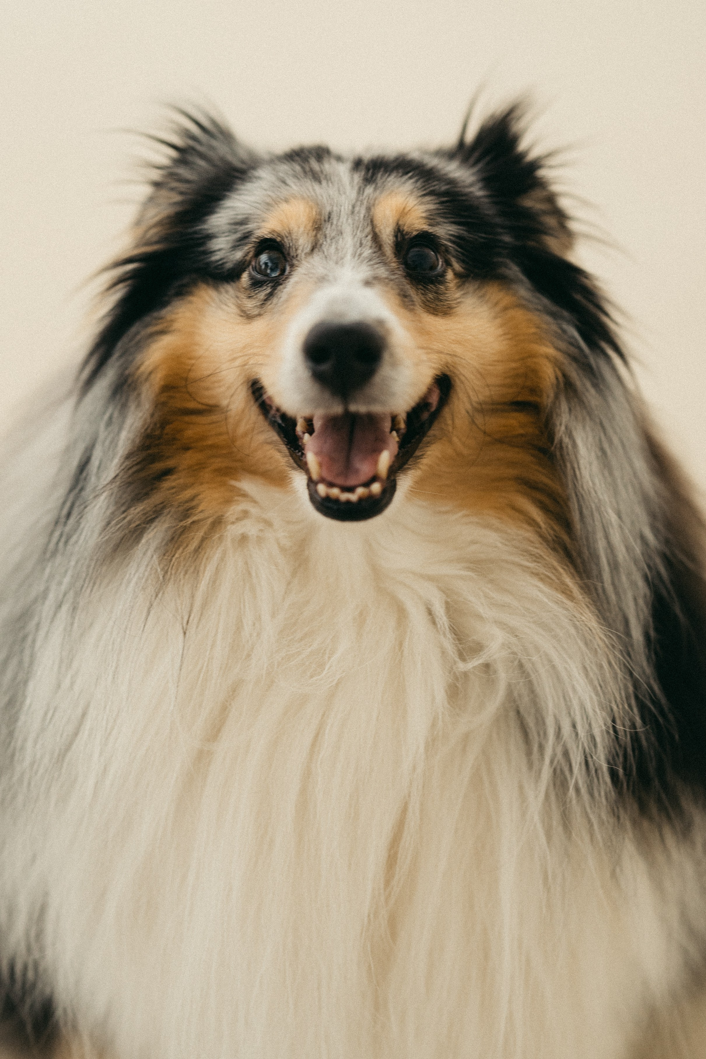 Аня & Гоша. Свадебный и семейный фотограф в Москве Ксения Шведова
