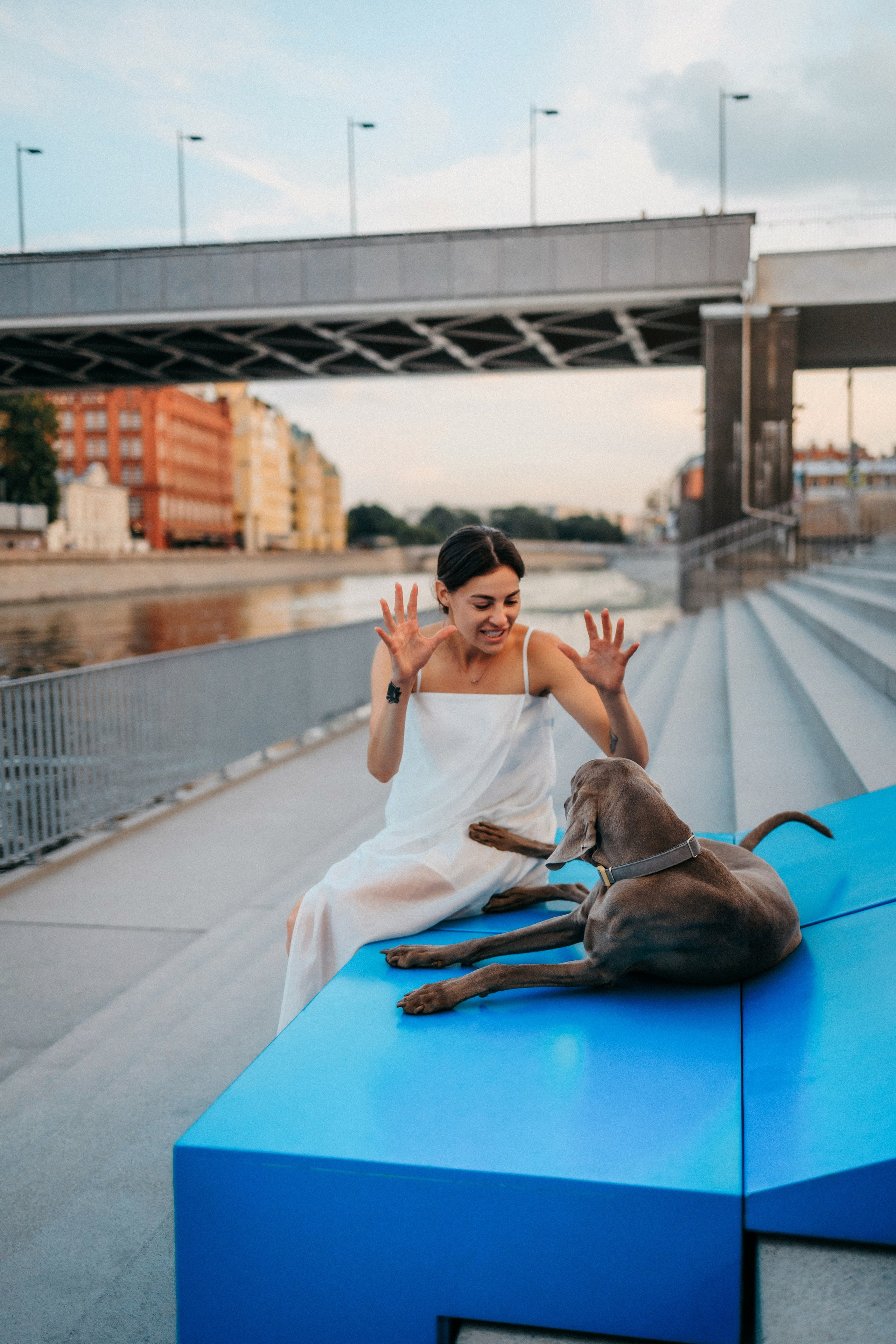 Соня и Майли. Фотограф-анималист Елена Радченко, Москва