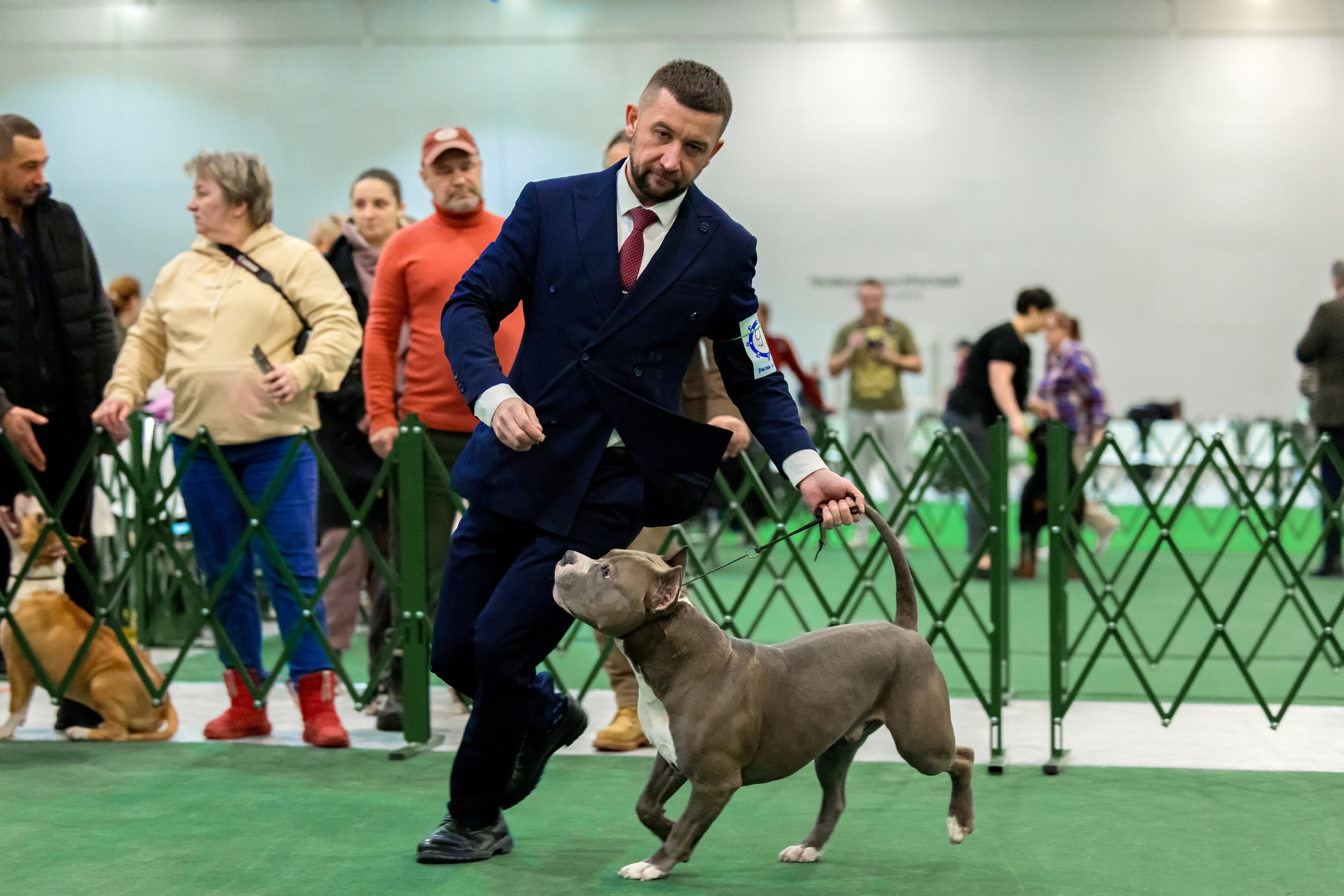 Крокус 3,9 и 10.12.2023. Фотограф-анималист Юлия Германика