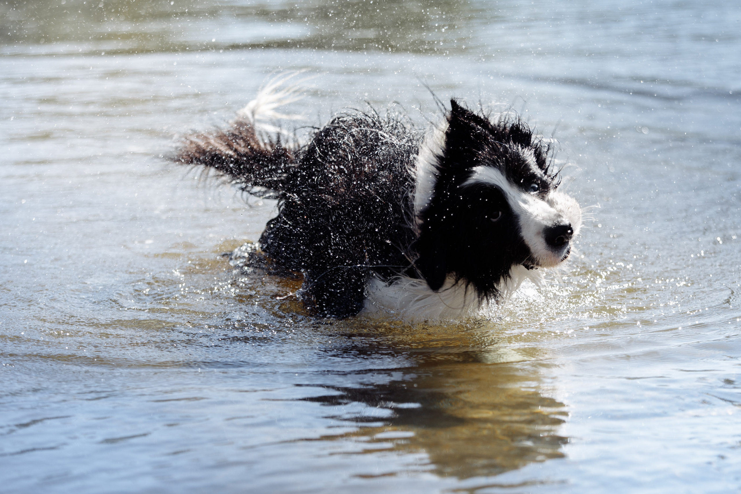Водяные в Новотроицке. О нас