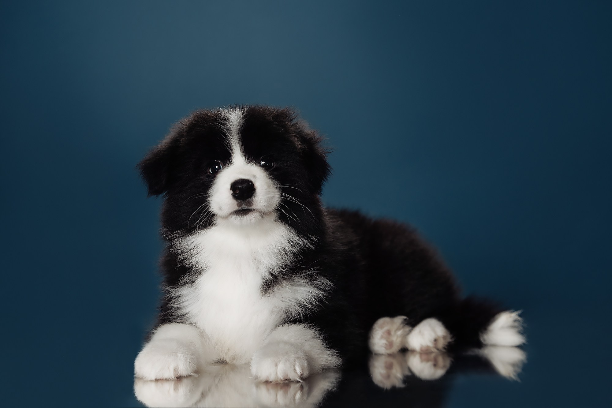 Синева. О нас