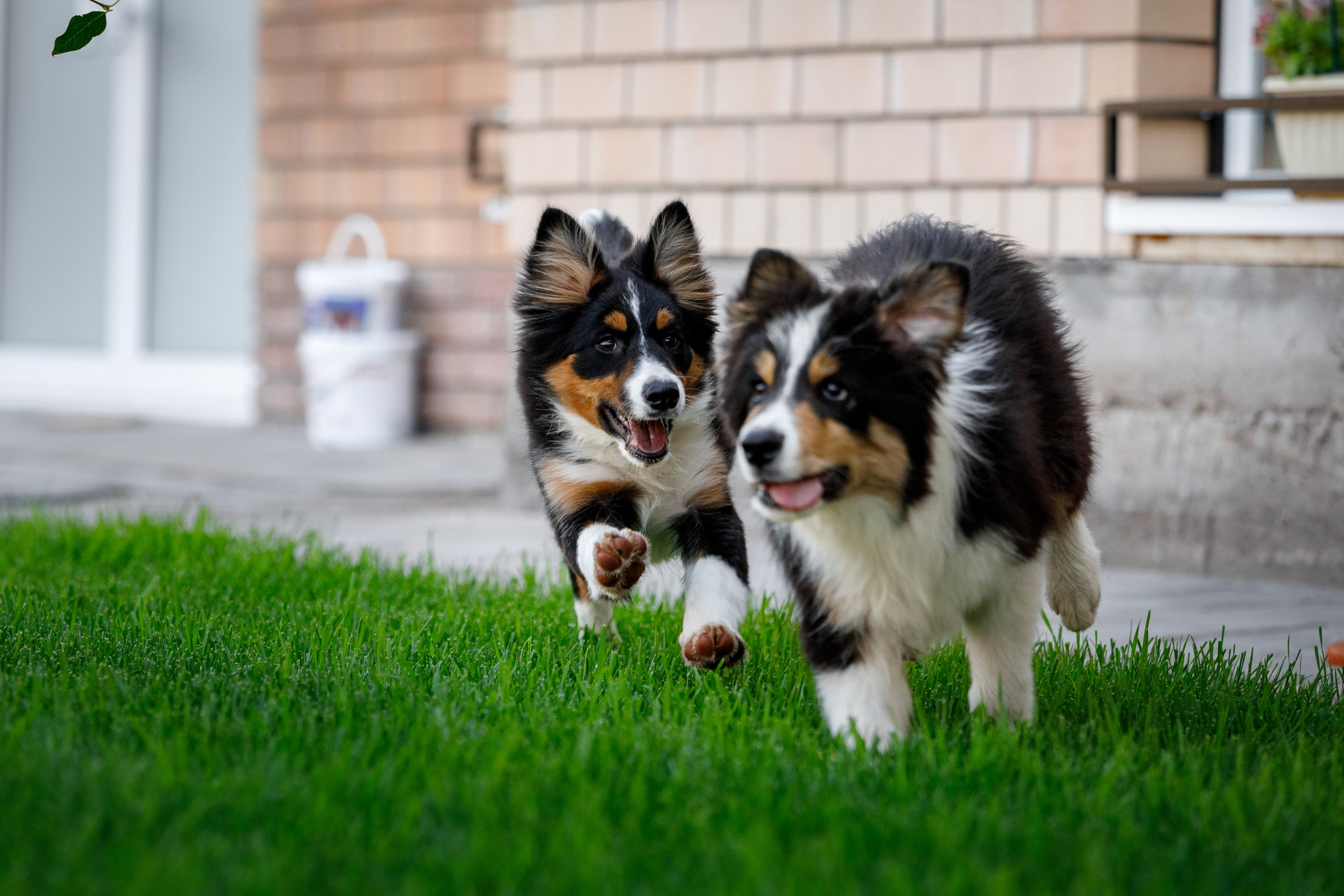 Смешарики. О нас