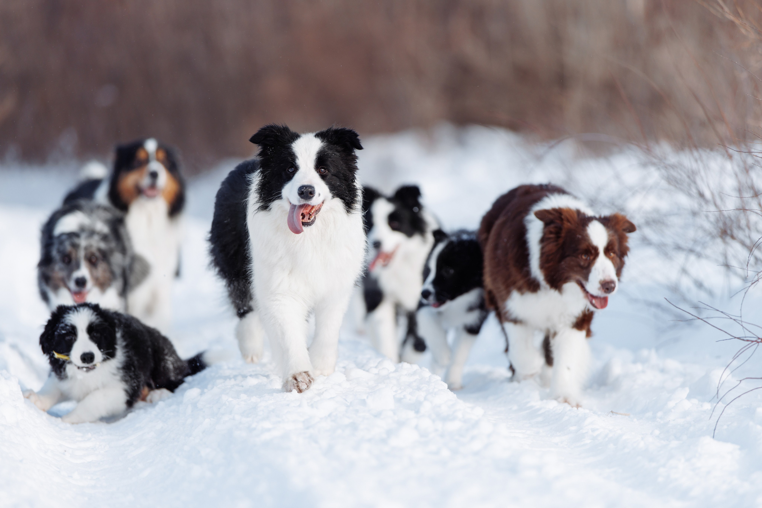 Яркий январь. О нас