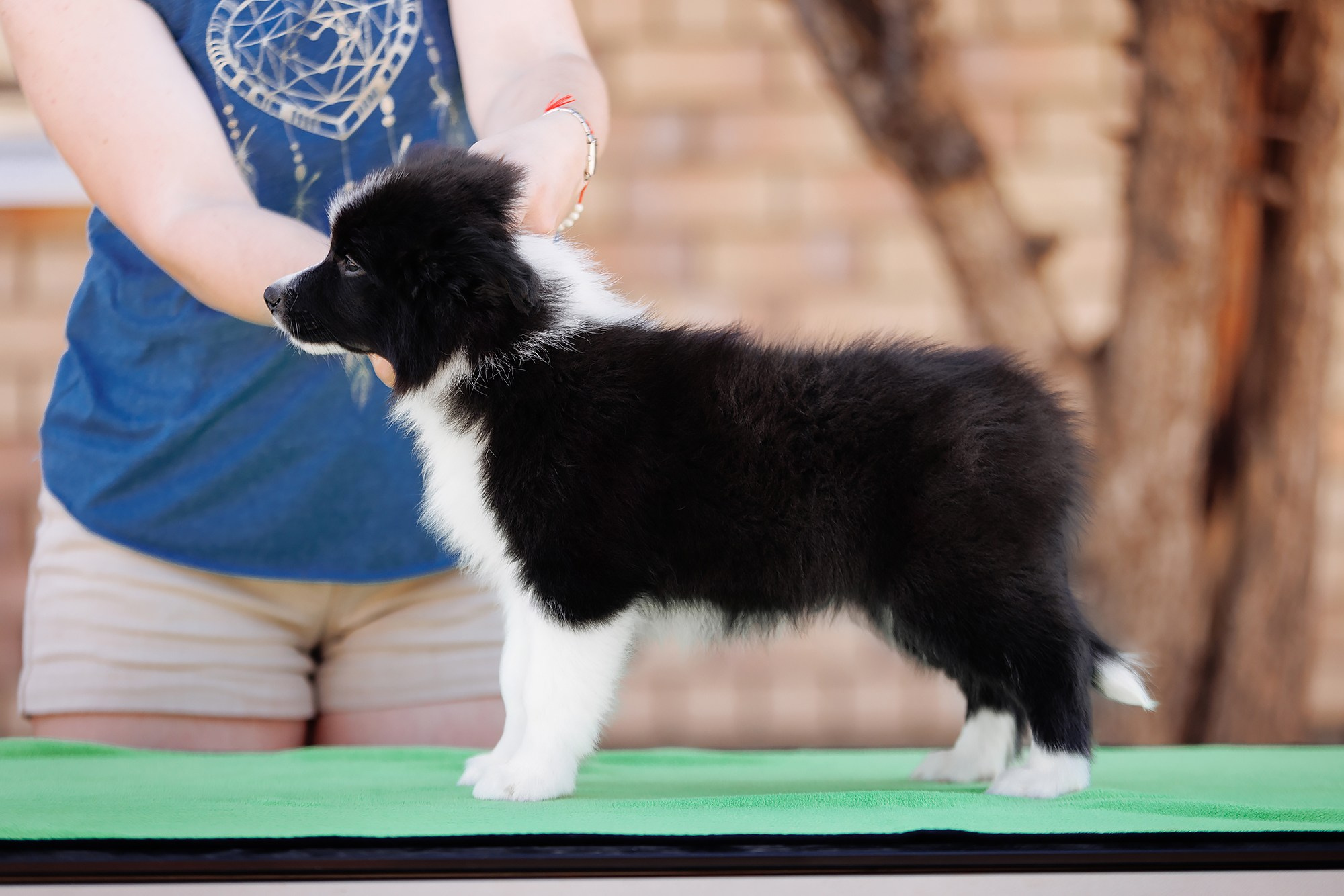 Трава у дома. О нас