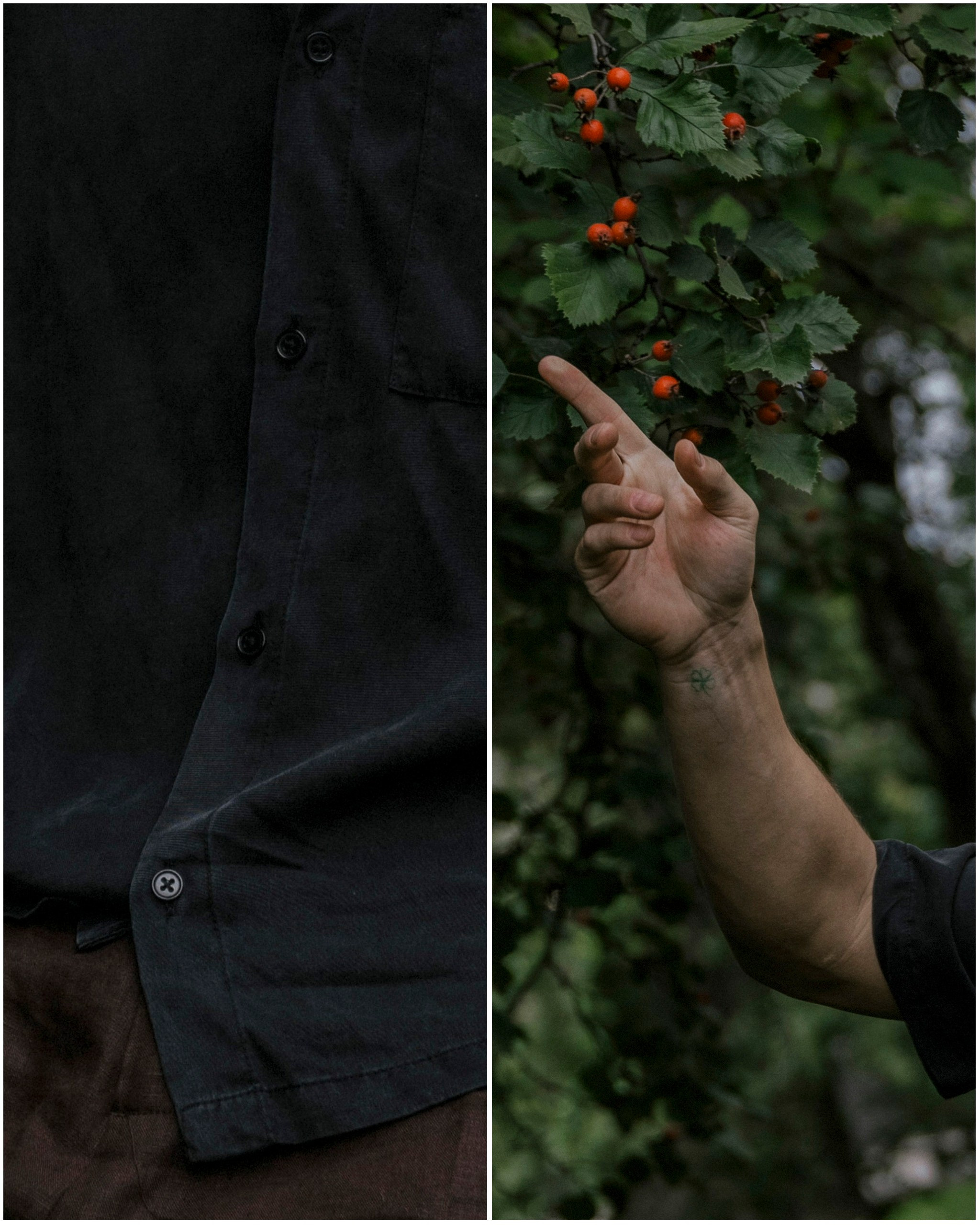 лен рябина рука с татуировкой клевера