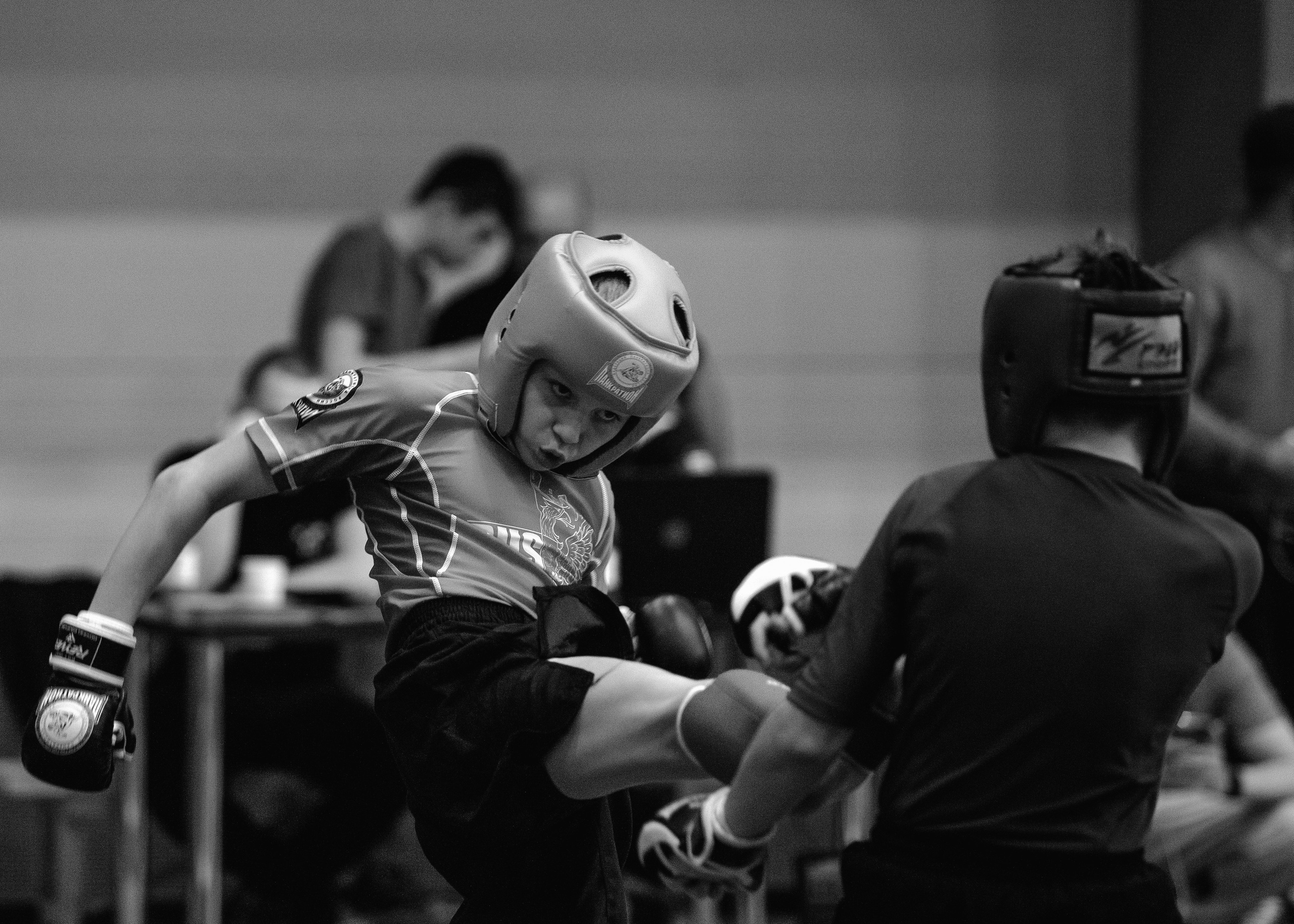 Кубок России по спортивной борьбе панкратион `23. Портретный фотограф в Москве Дарья Цезария