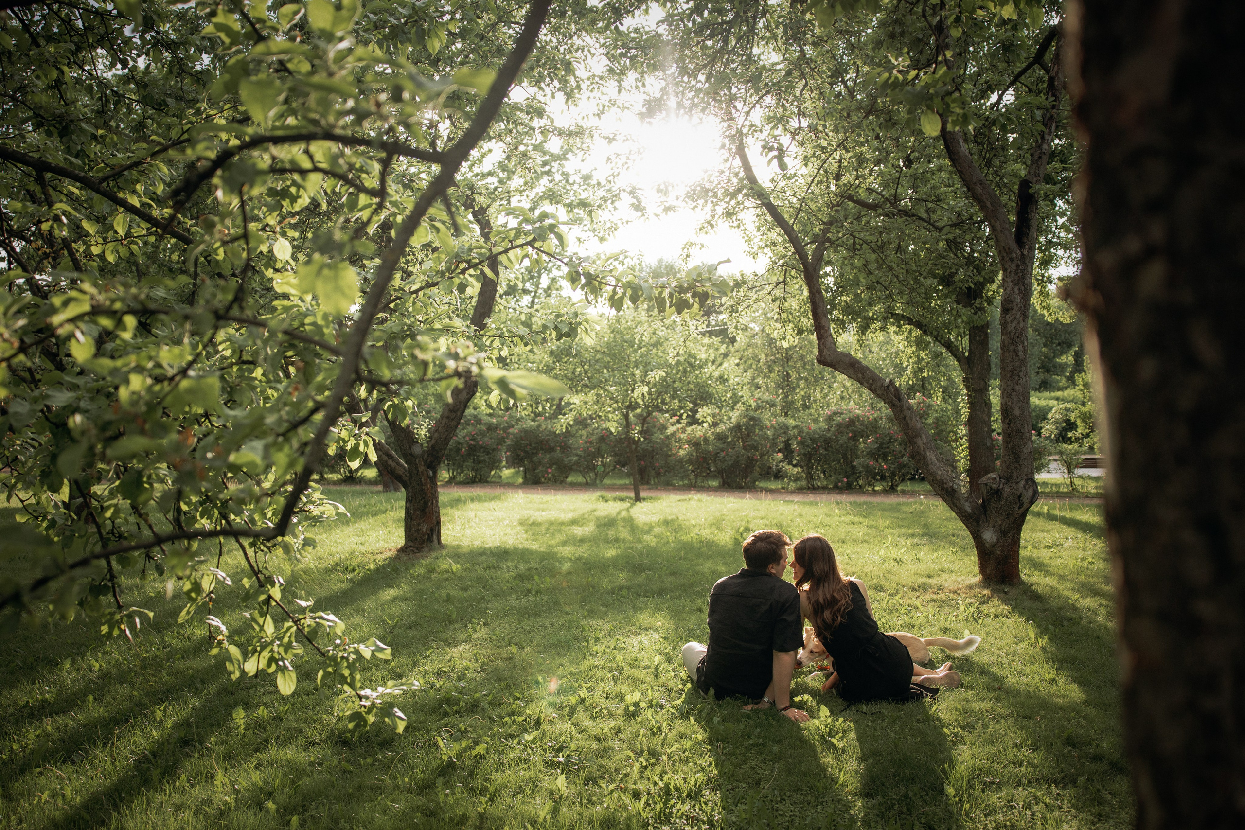 Парк Коломенское. Михаил, Анастасия и Ума. Фотограф анималист в Казани Алина Сулейманова. Фотограф животных