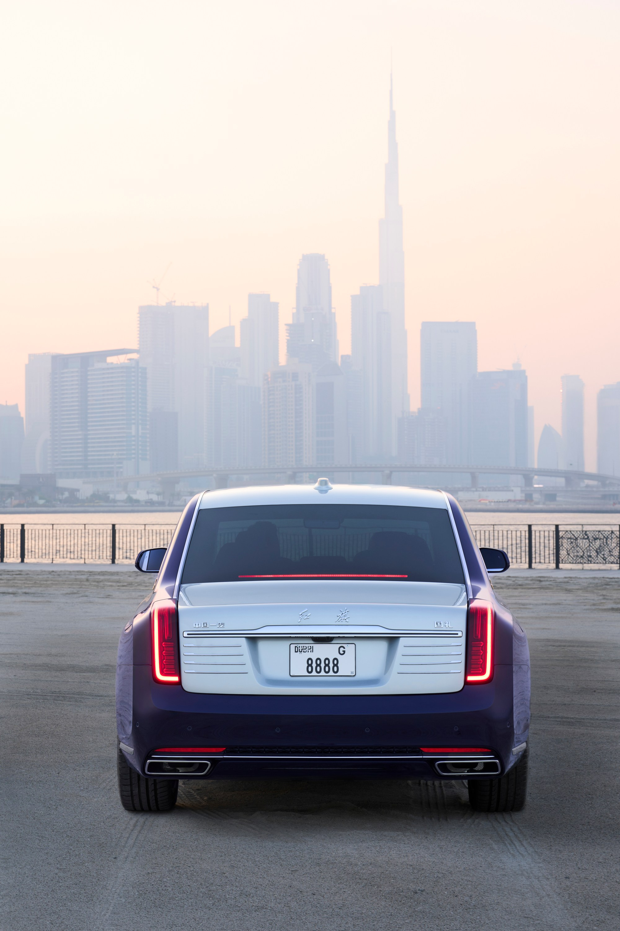 Hongqi Golden Sunflower. Creative photographer Denis Klero