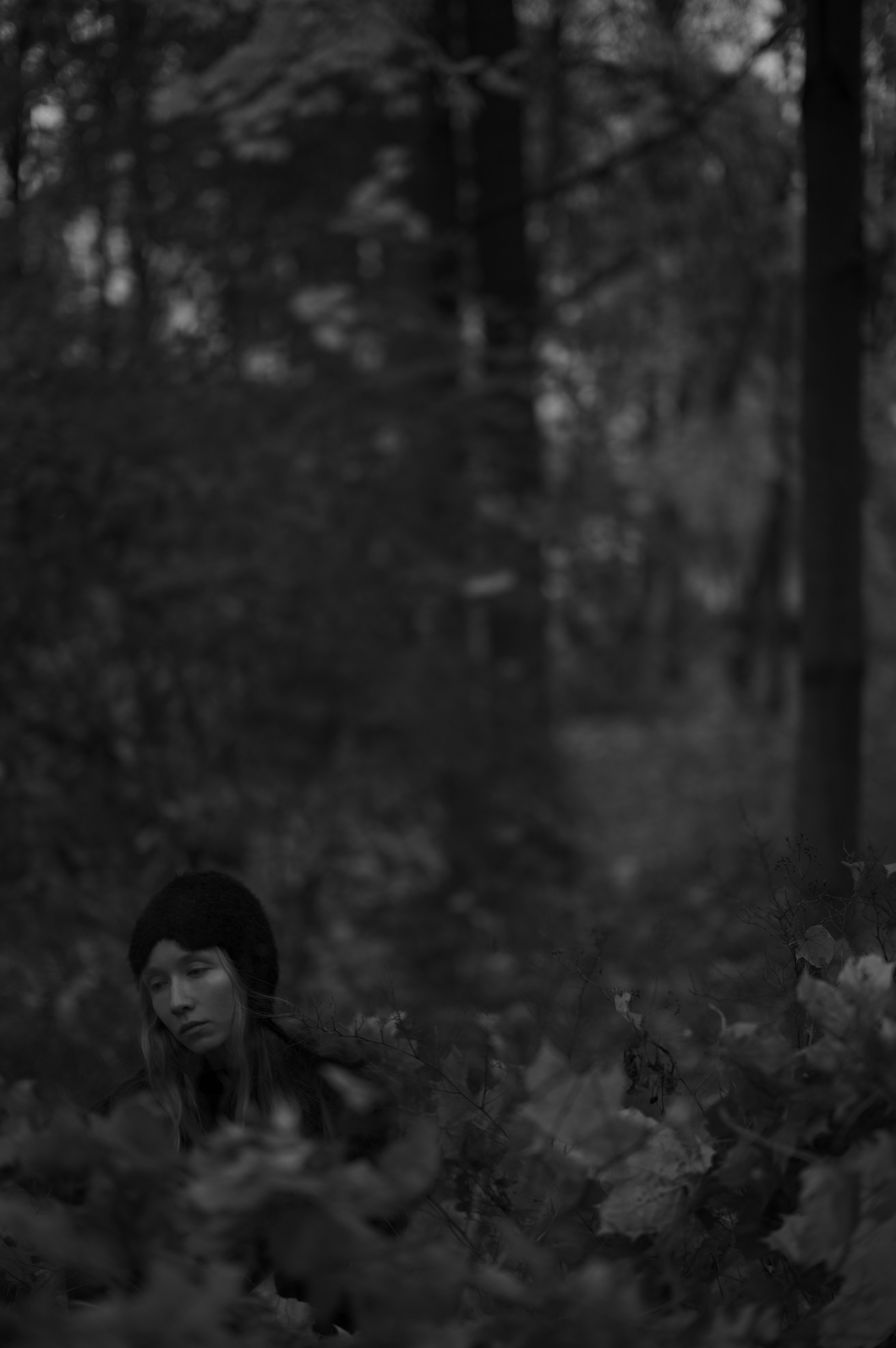 Black Autumn. Фотограф Александр Медведев