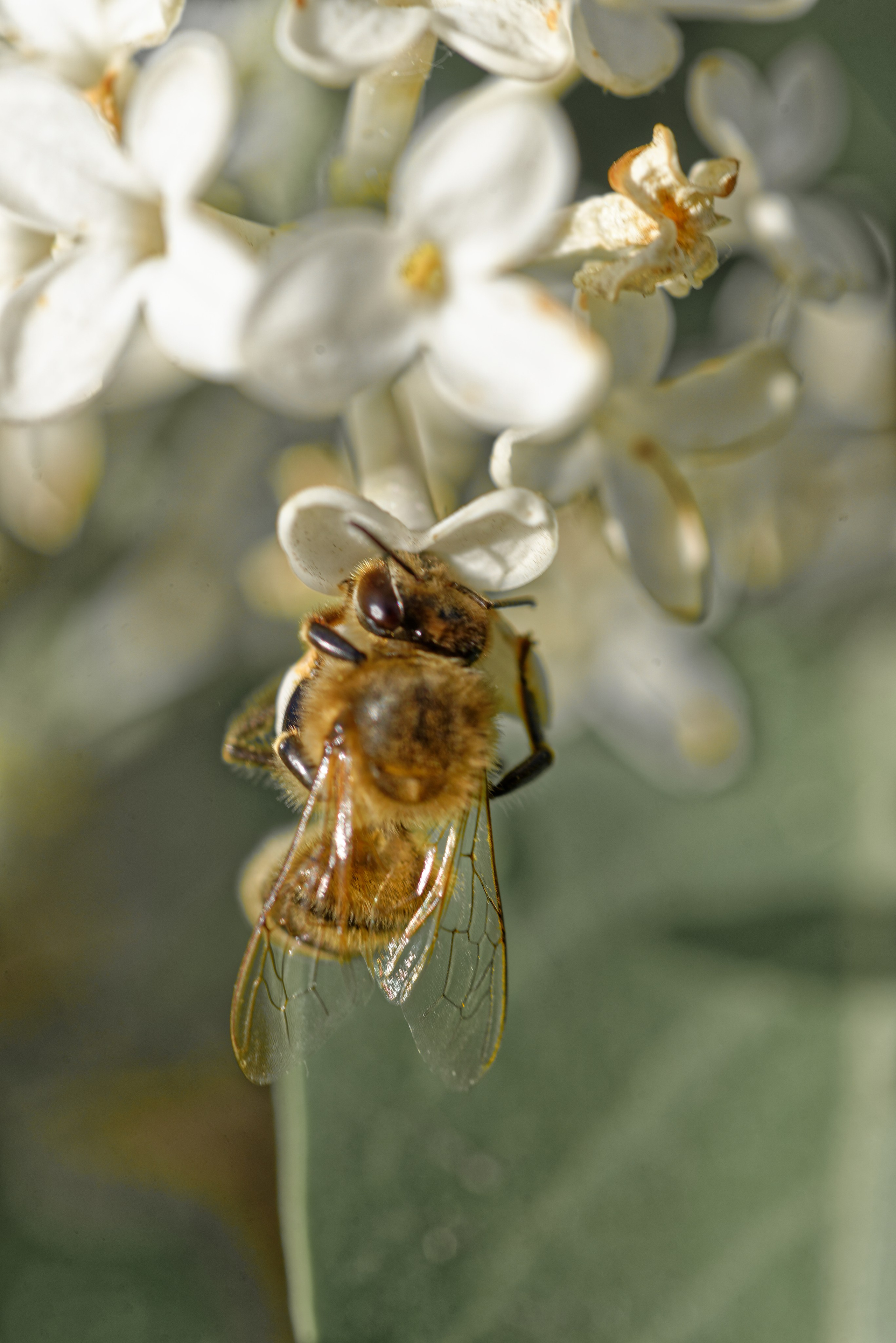 Природа. Фотограф в городе Омске Константин Зоткин