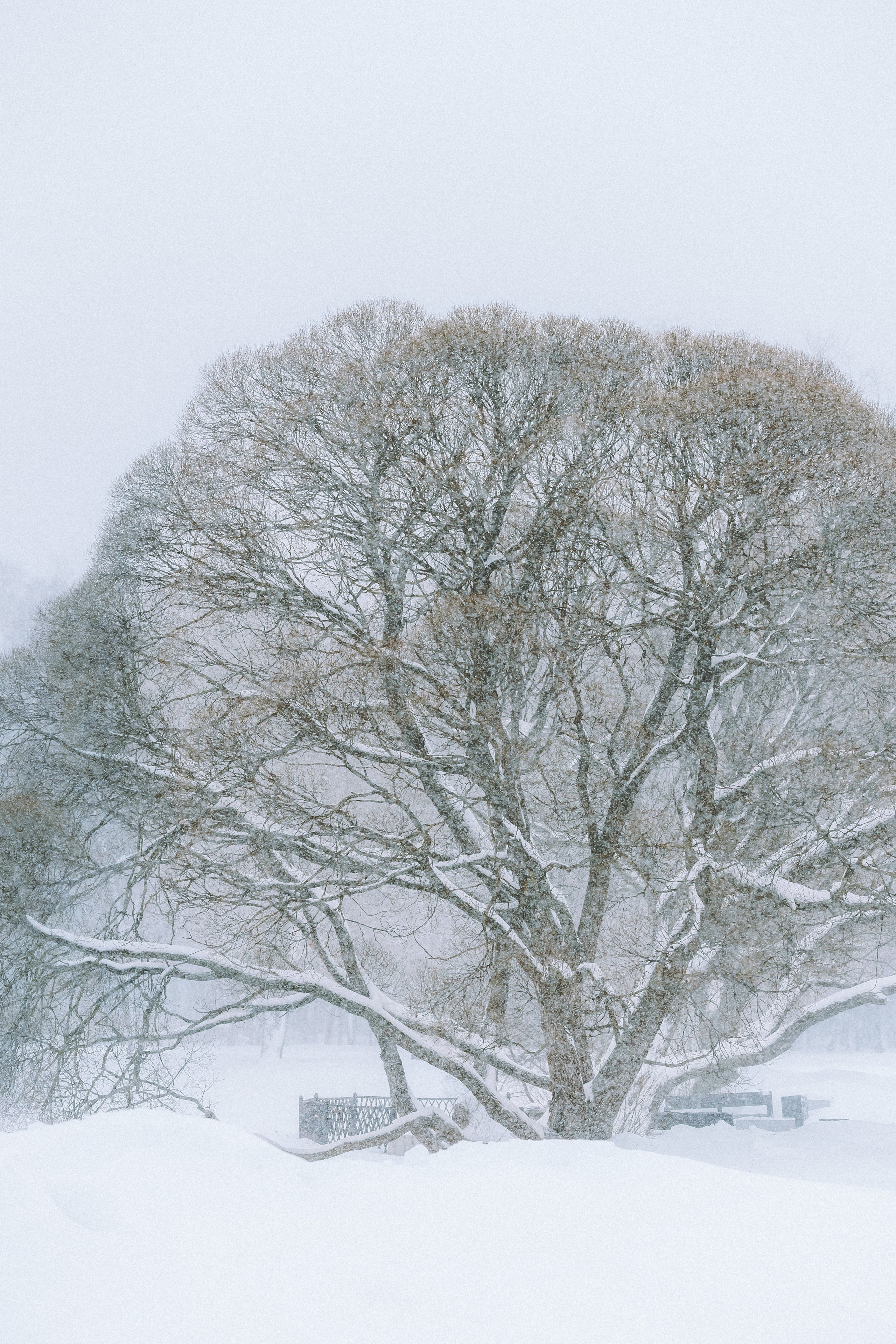 Юля и Юпитер