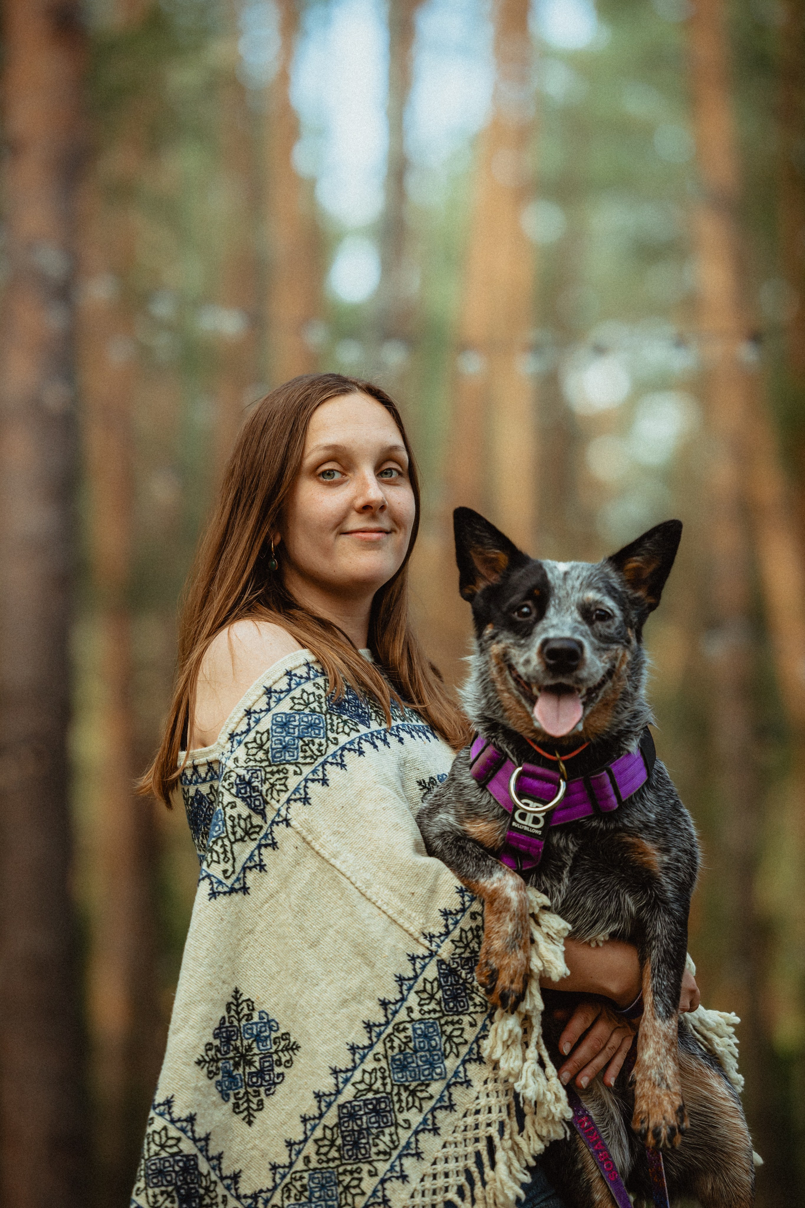 Выездной дог-тренинг от школы «Шерсть имею»