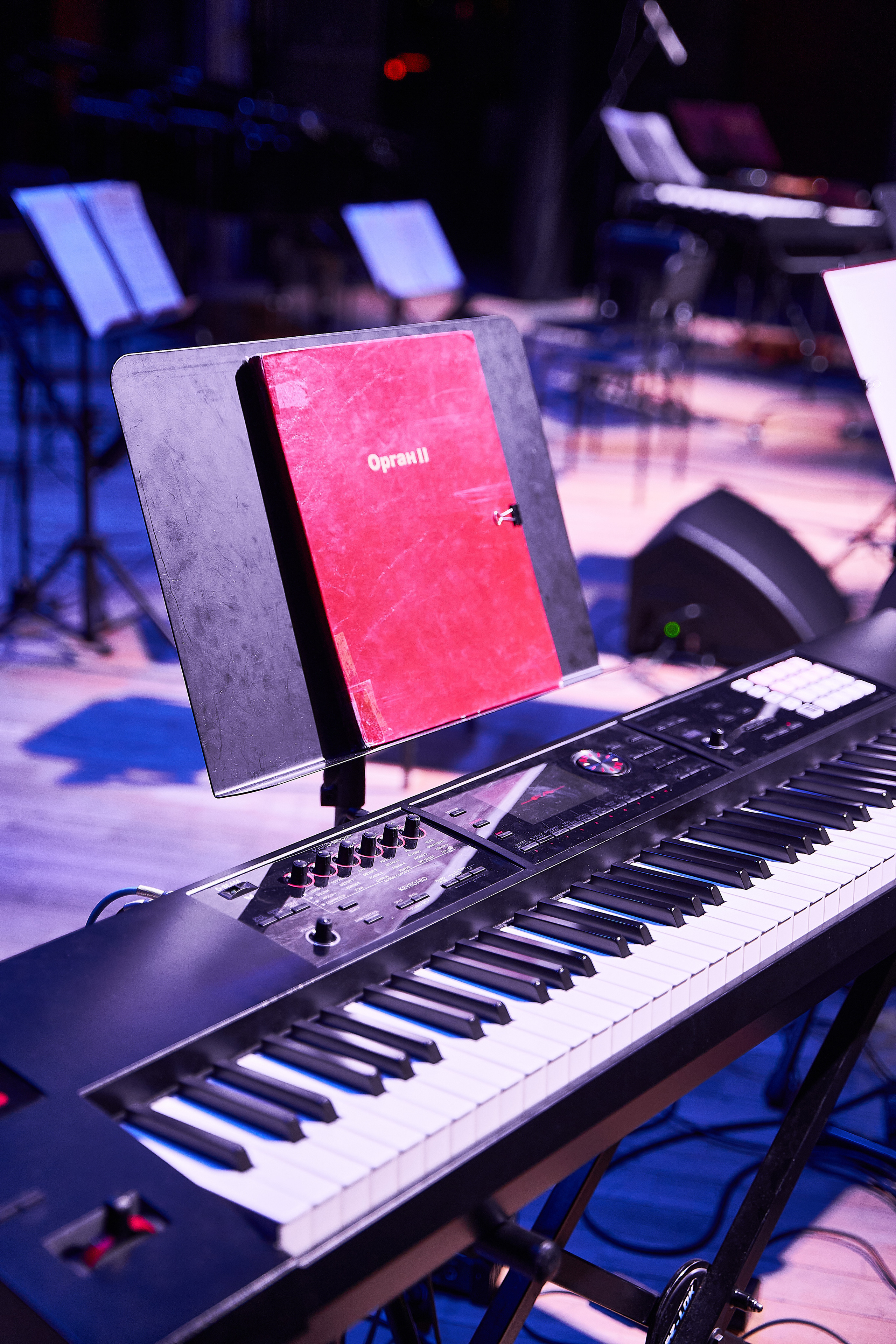 Концерт «В РУССКОМ СТИЛЕ». Фотограф Вика Фадина, Екатеринбург