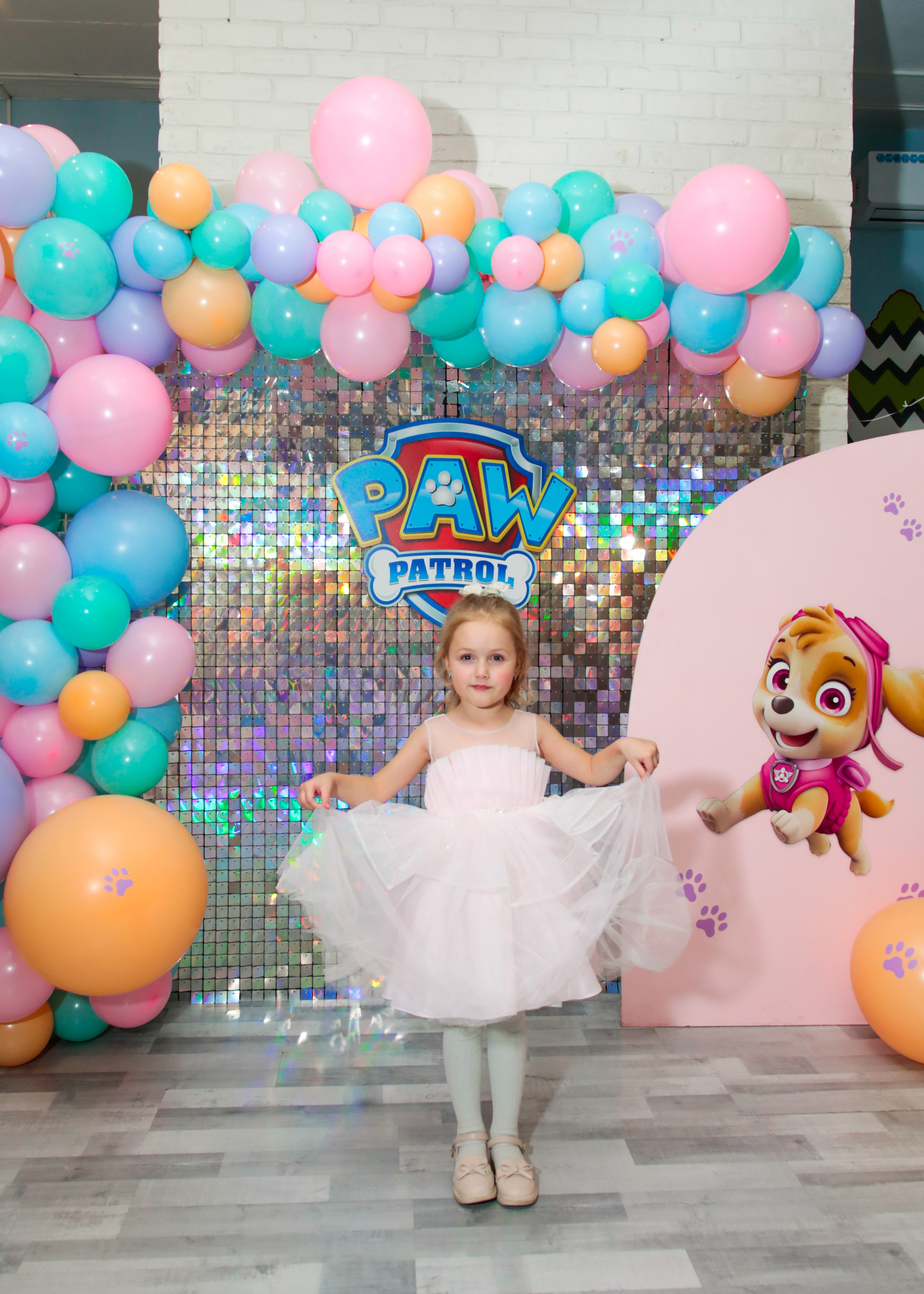 День Рождения Щенячий патруль. Фотограф Олеся Милош Мытищи, Москва и МО и весь мир