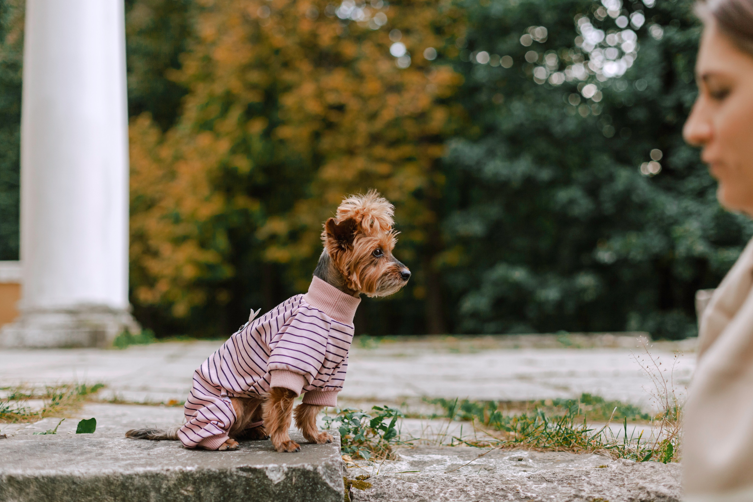 Катя и Моня. Фотограф-анималист Татьяна Степанова