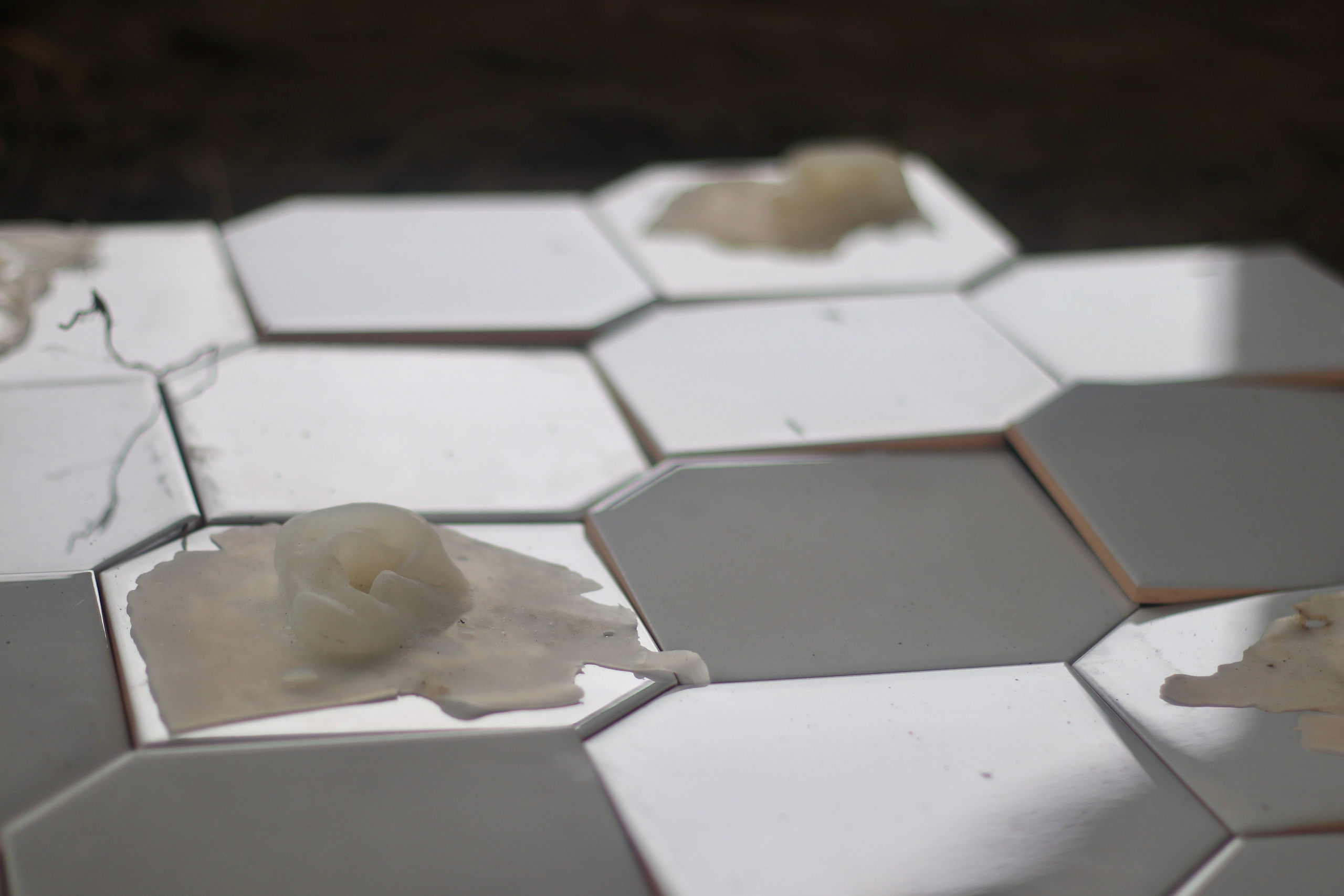 Эволюция непрерывно идет под знаком приспособления: инсталляция. Художница Софья Григорьева